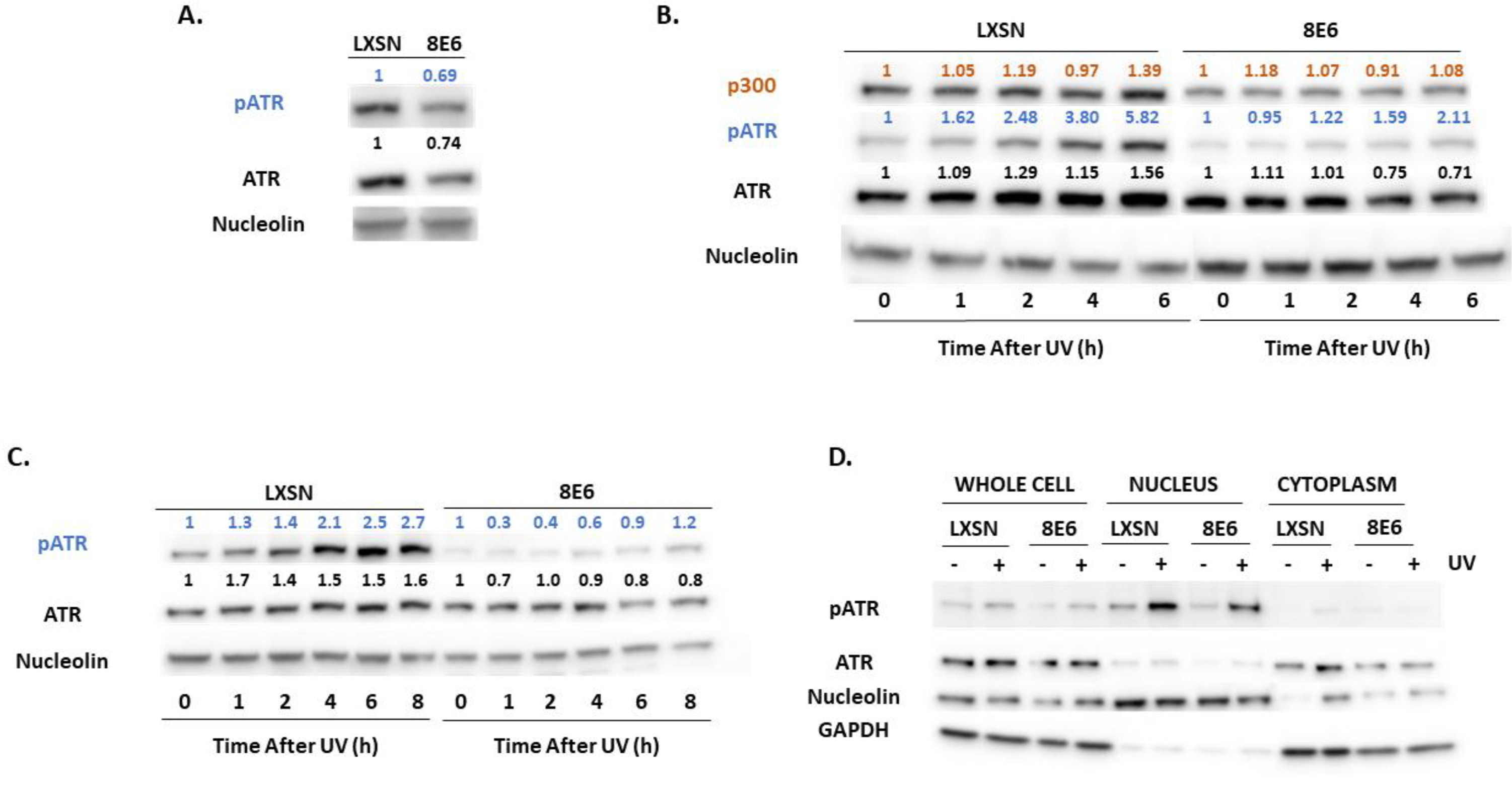 Pathogens 08 00267 g003