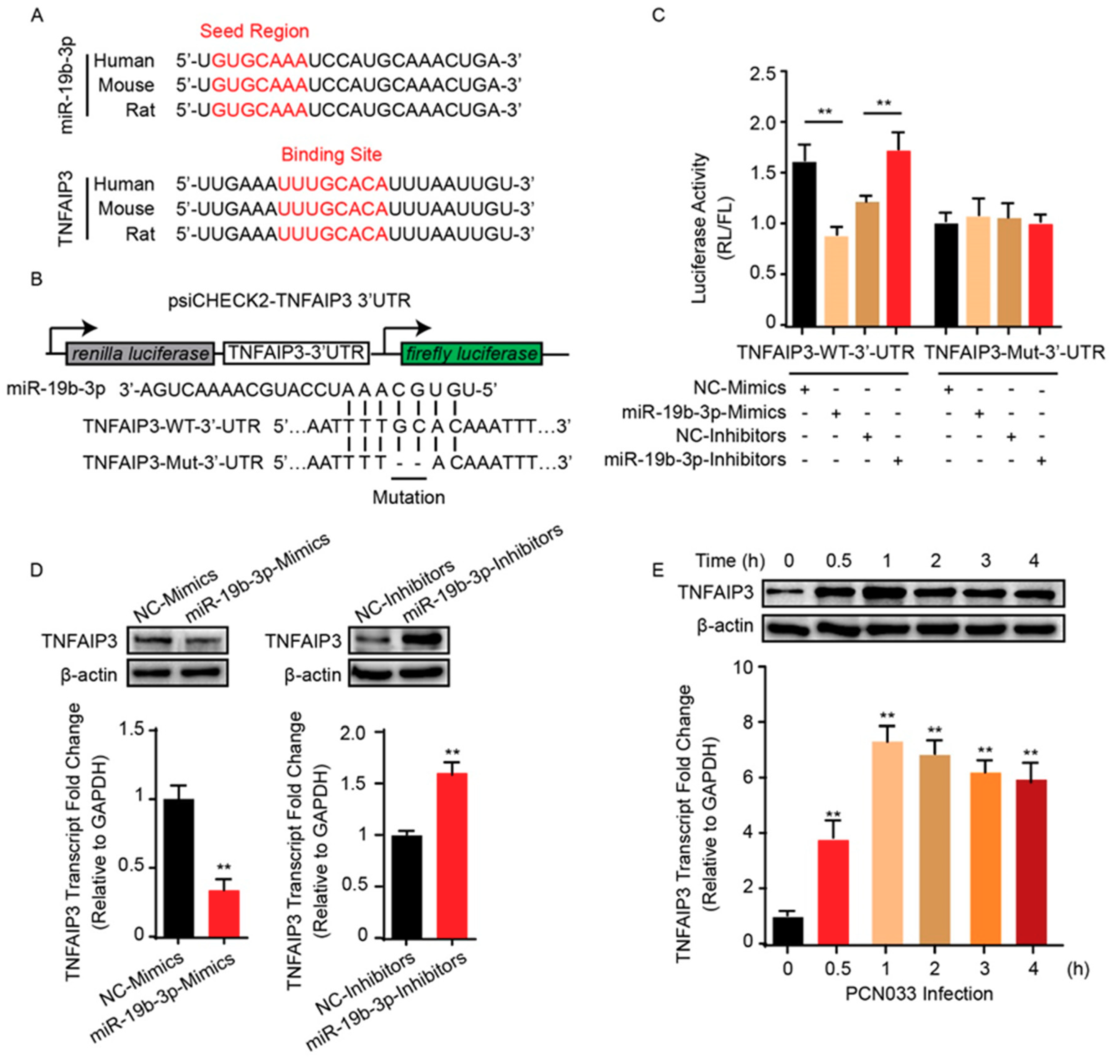 Pathogens 08 00268 g003 Pathogens 08 00268 g003