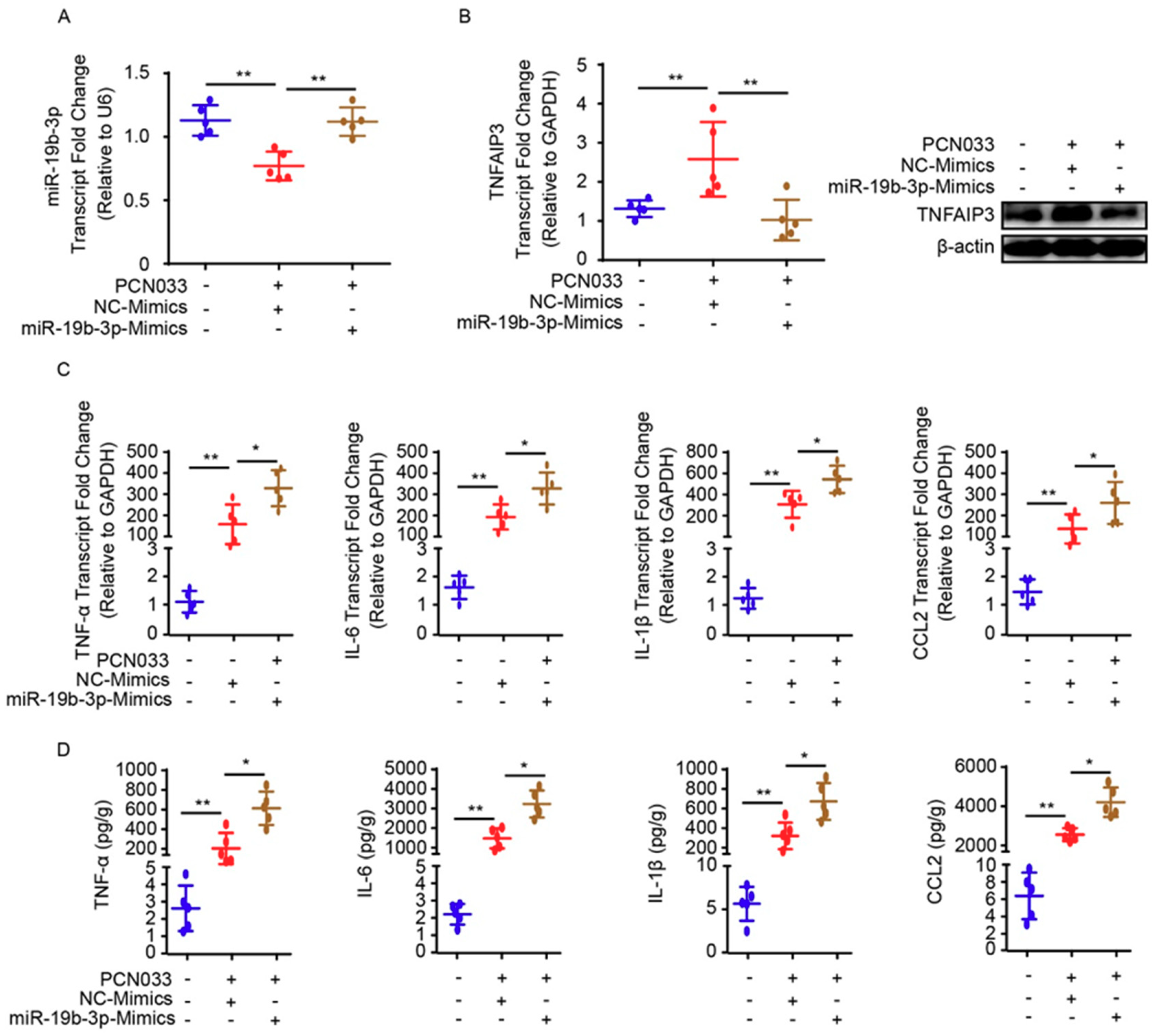 Pathogens 08 00268 g005 Pathogens 08 00268 g005