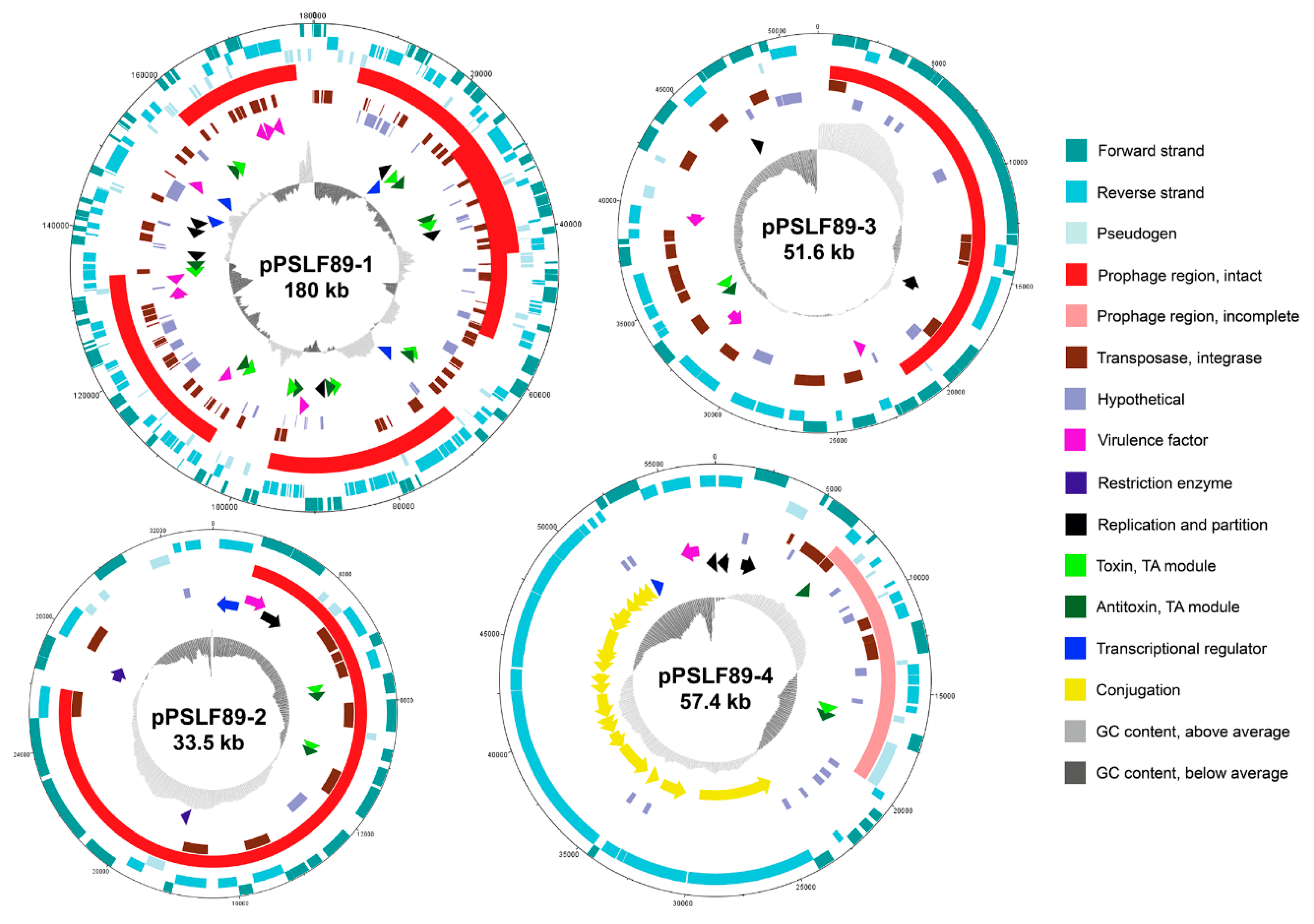 Pathogens 08 00269 g004