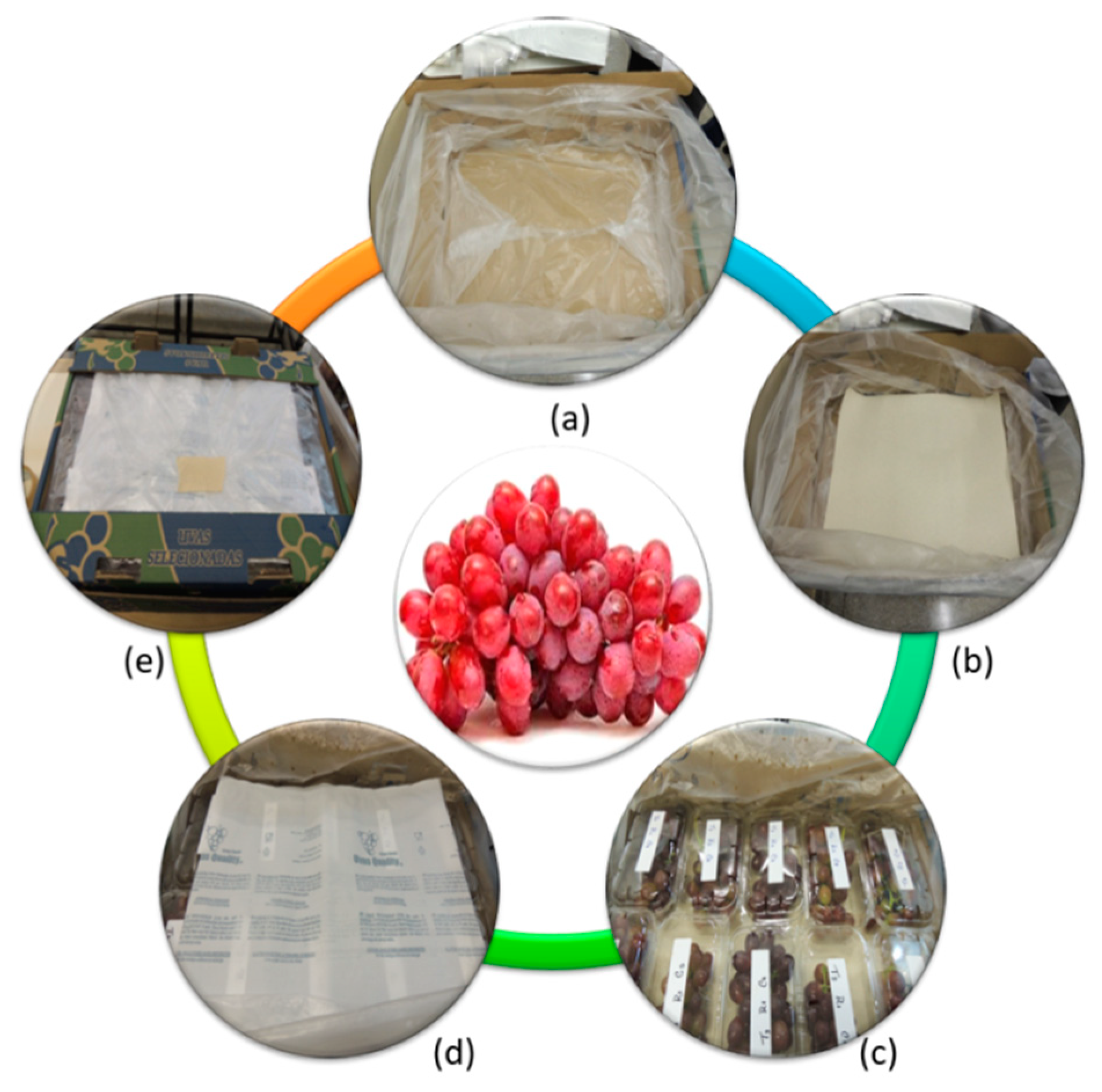 Pathogens 08 00271 g001