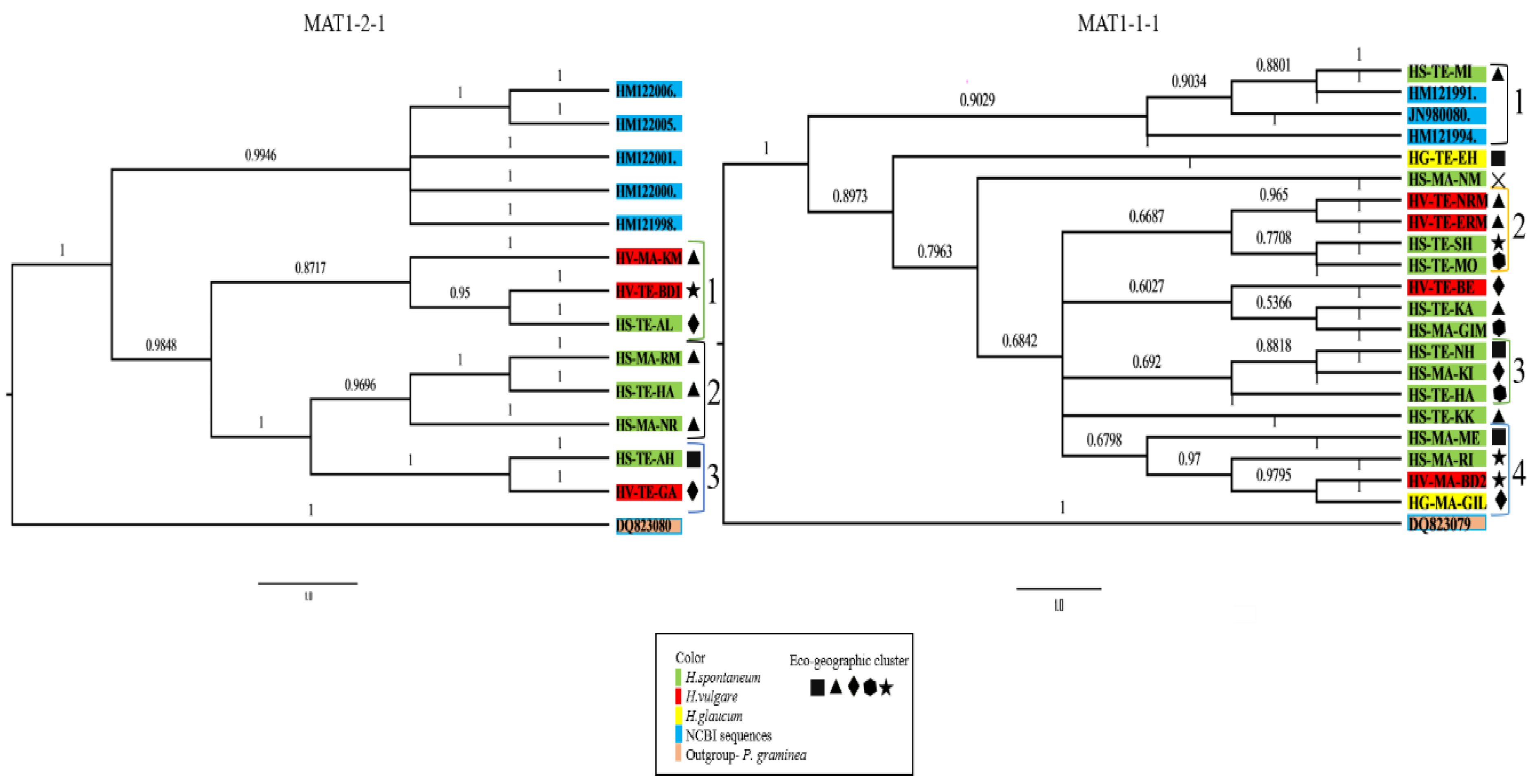 Pathogens 08 00275 g002