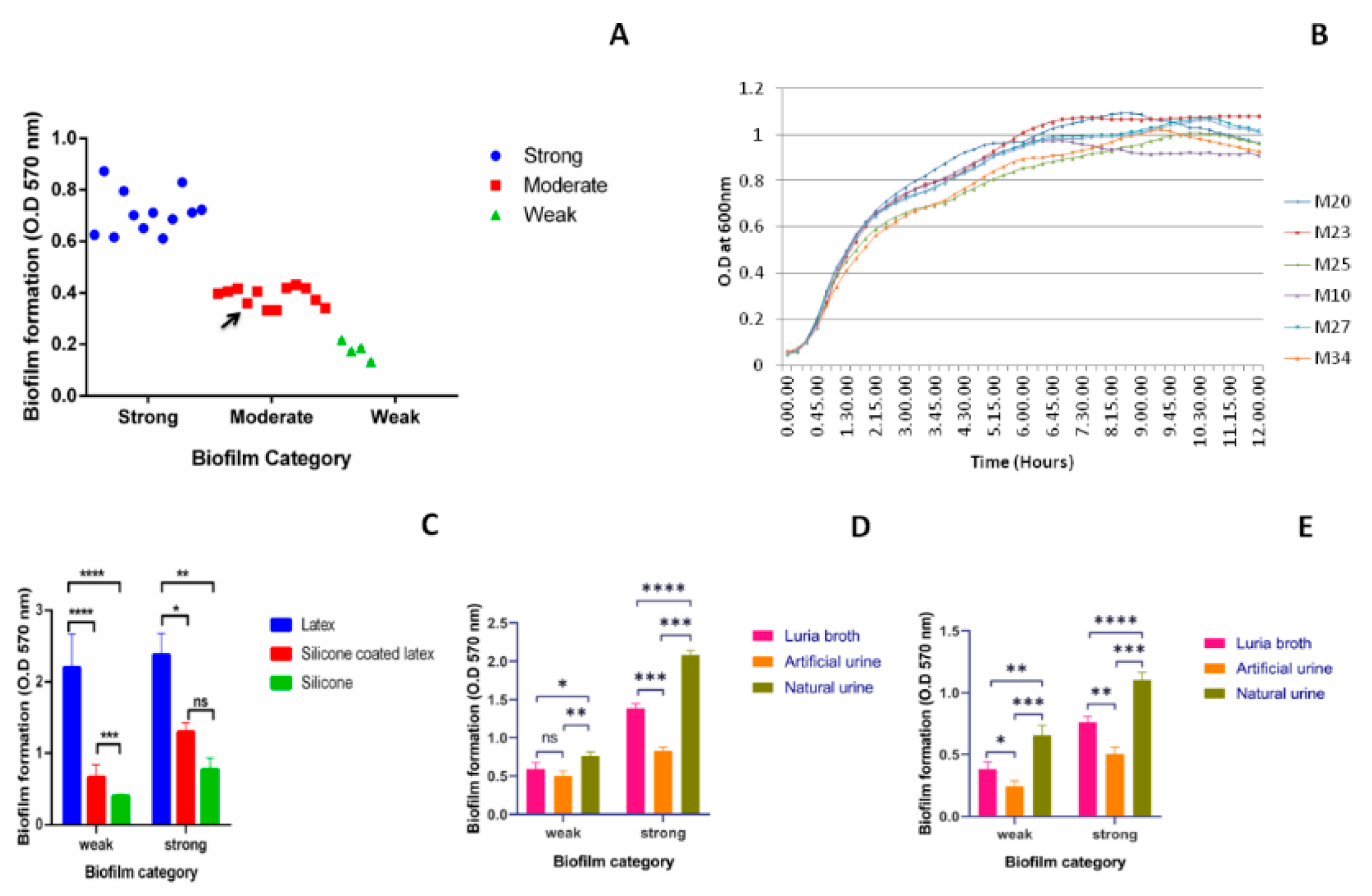 Pathogens 08 00277 g001