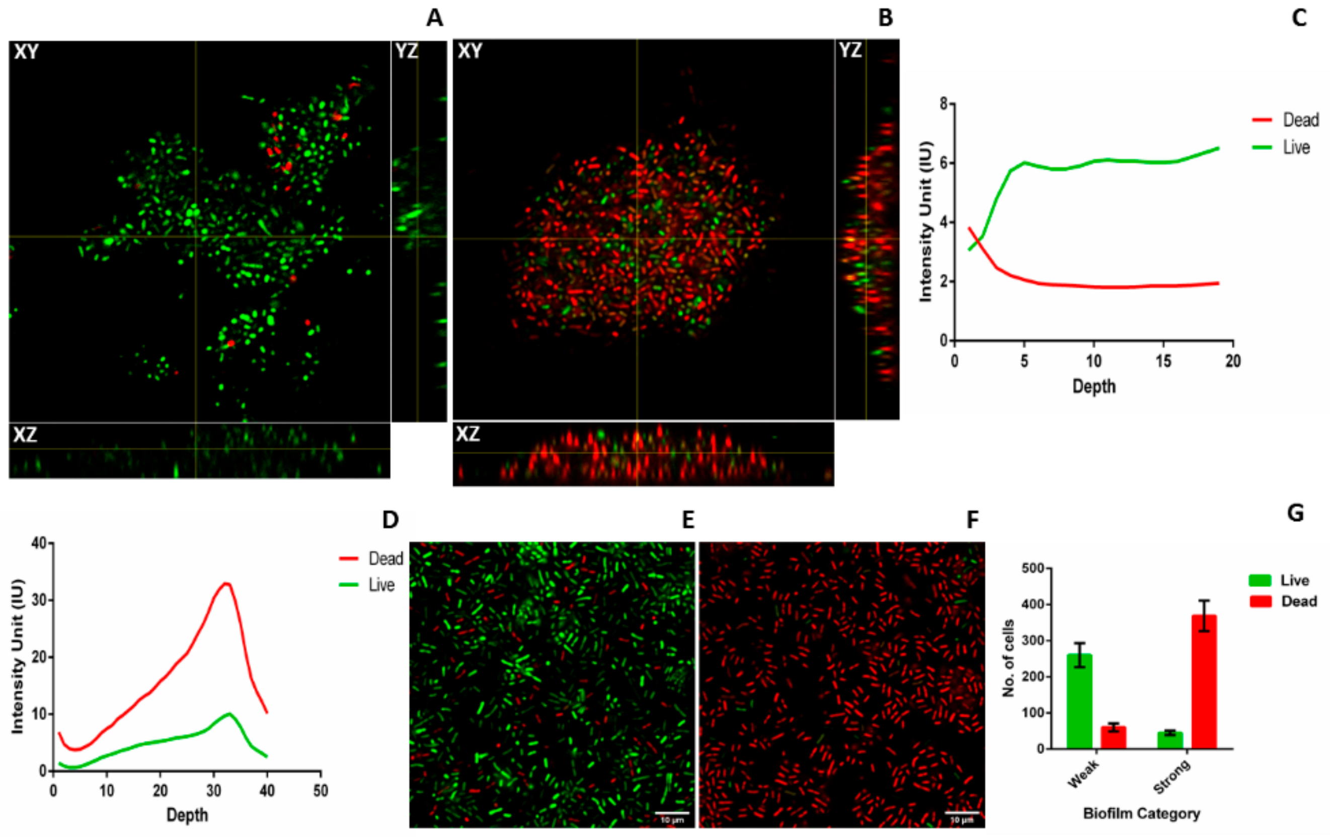 Pathogens 08 00277 g004