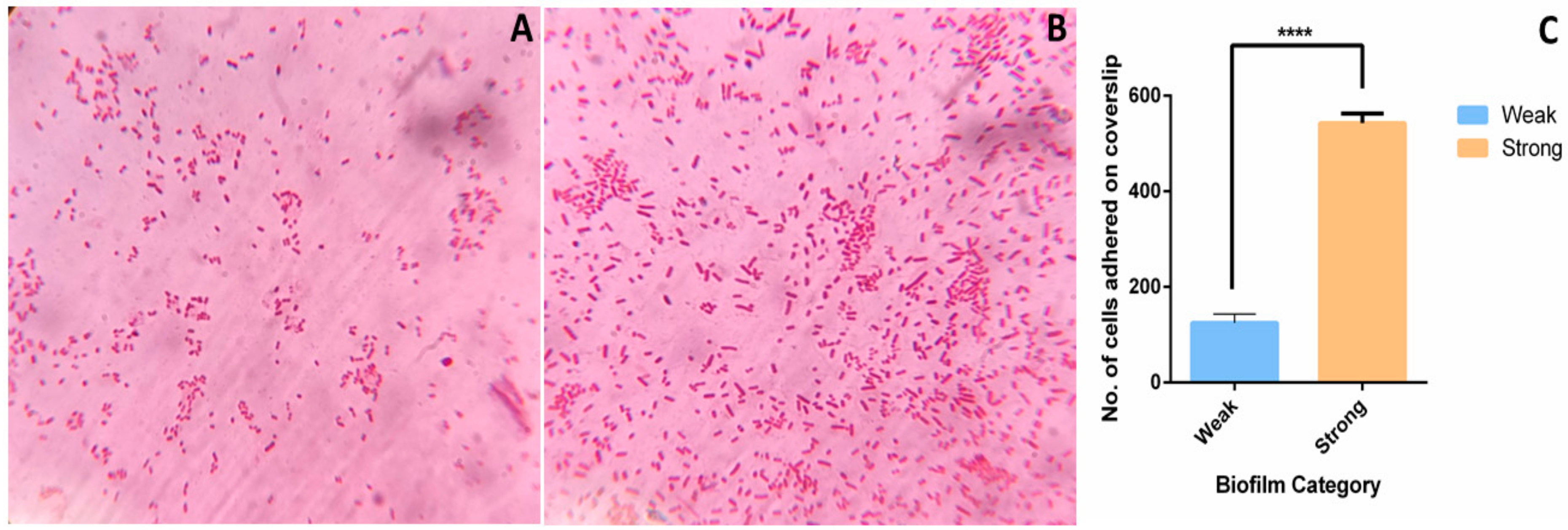 Pathogens 08 00277 g005