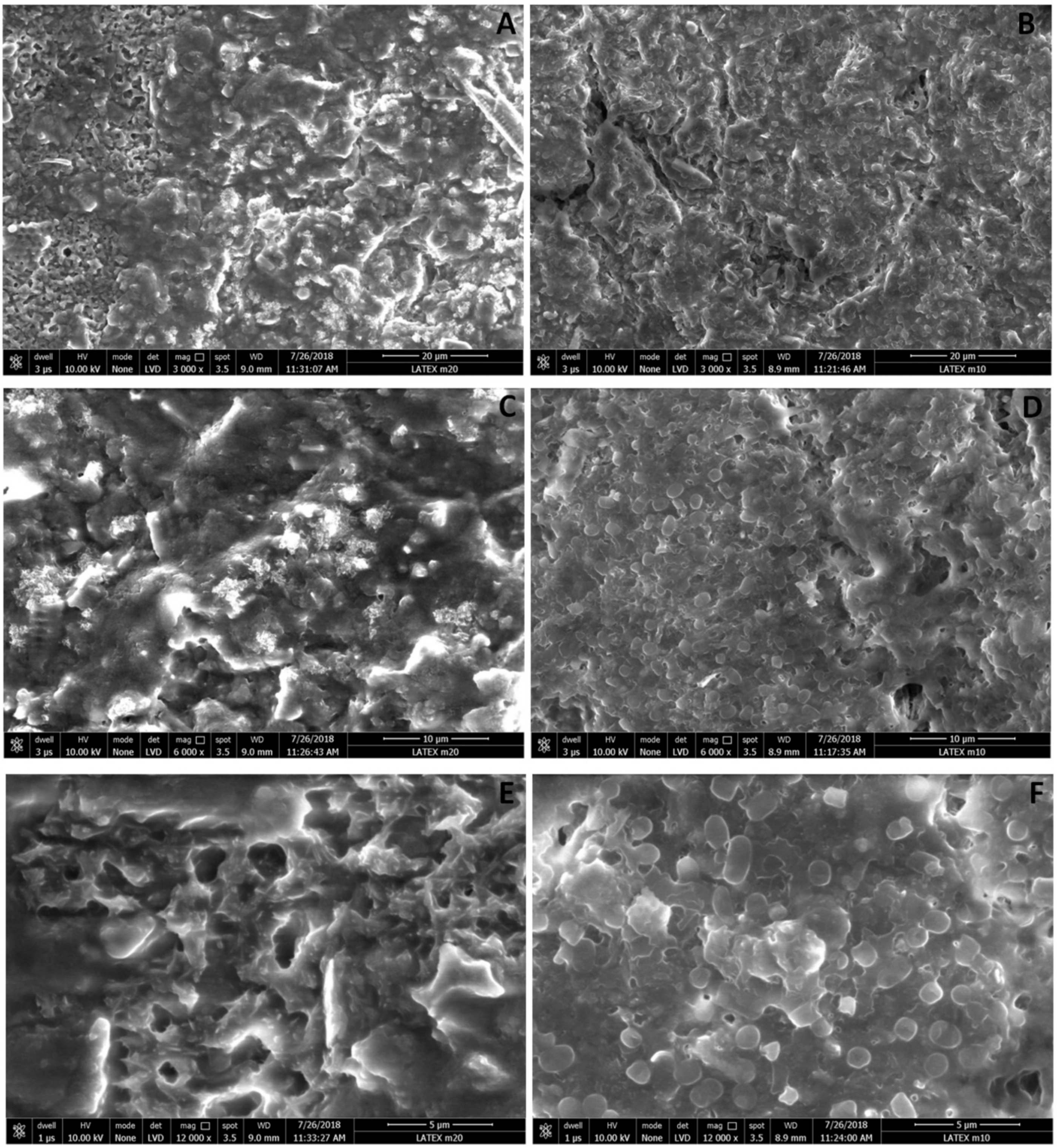 Pathogens 08 00277 g006