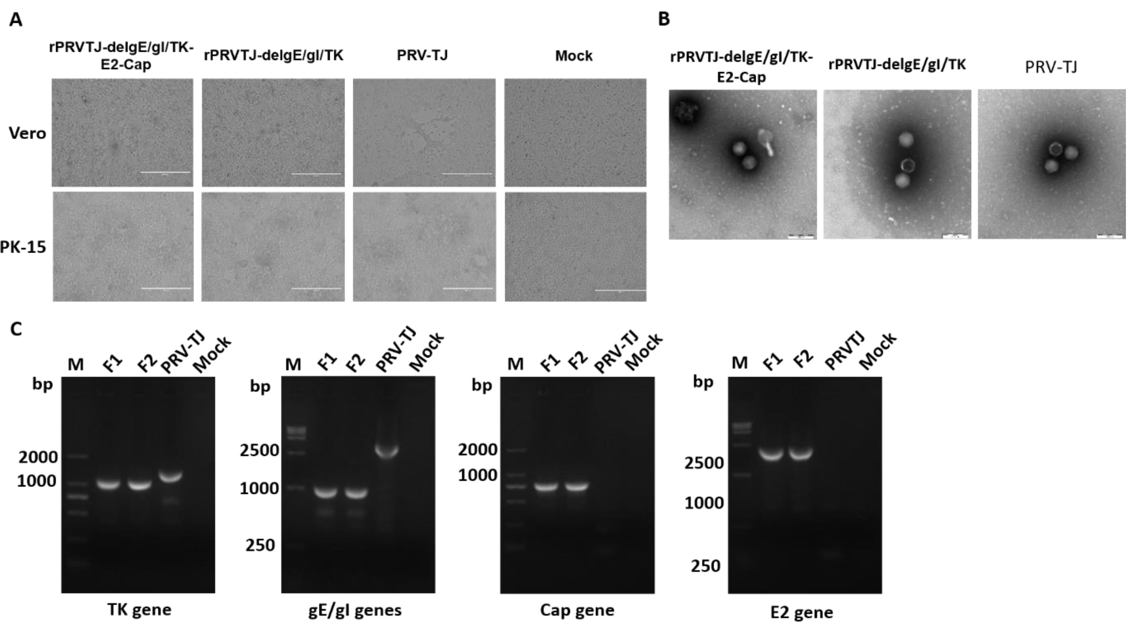 Pathogens 08 00279 g001 Pathogens 08 00279 g001