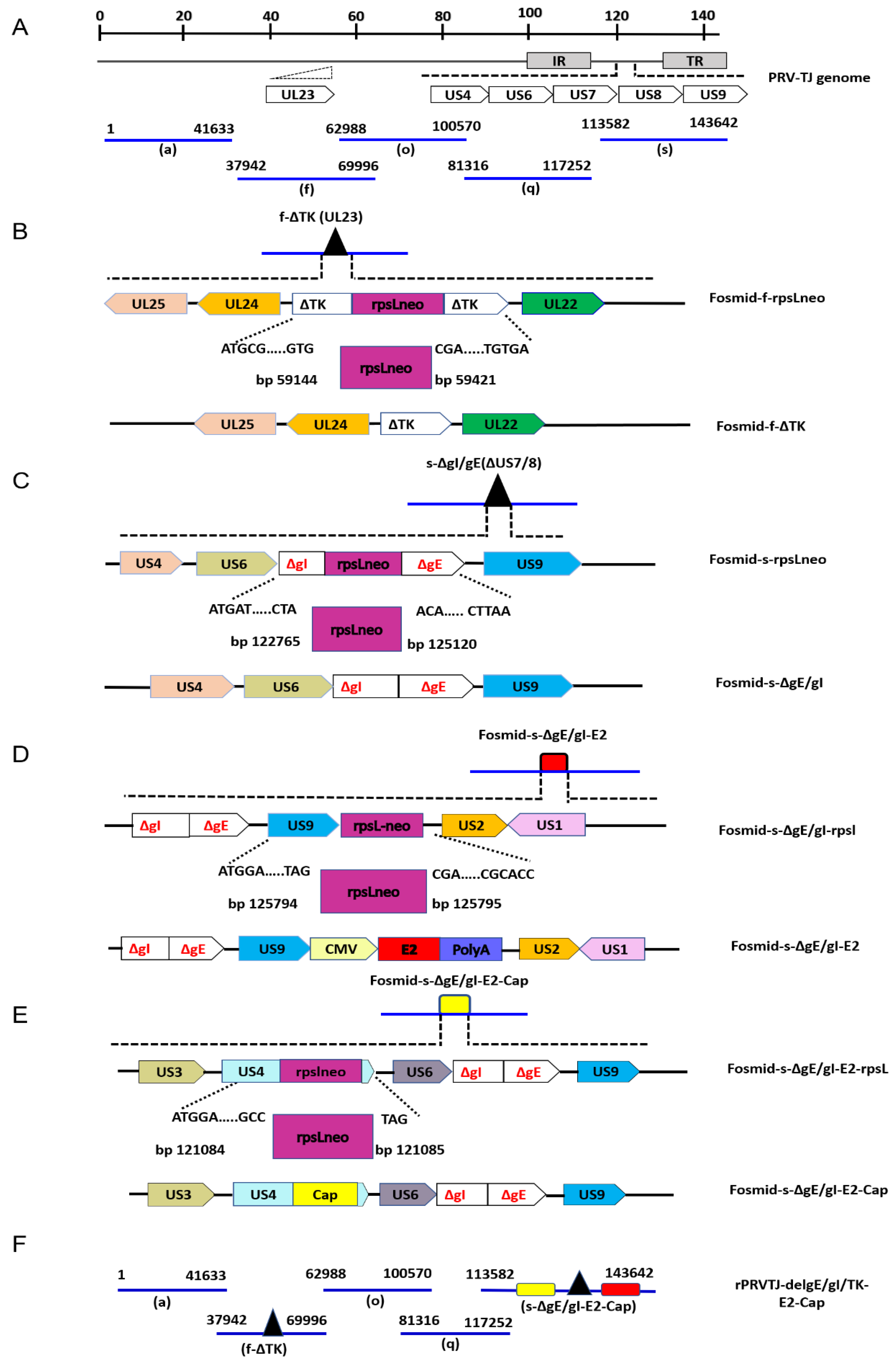 Pathogens 08 00279 g005 Pathogens 08 00279 g005