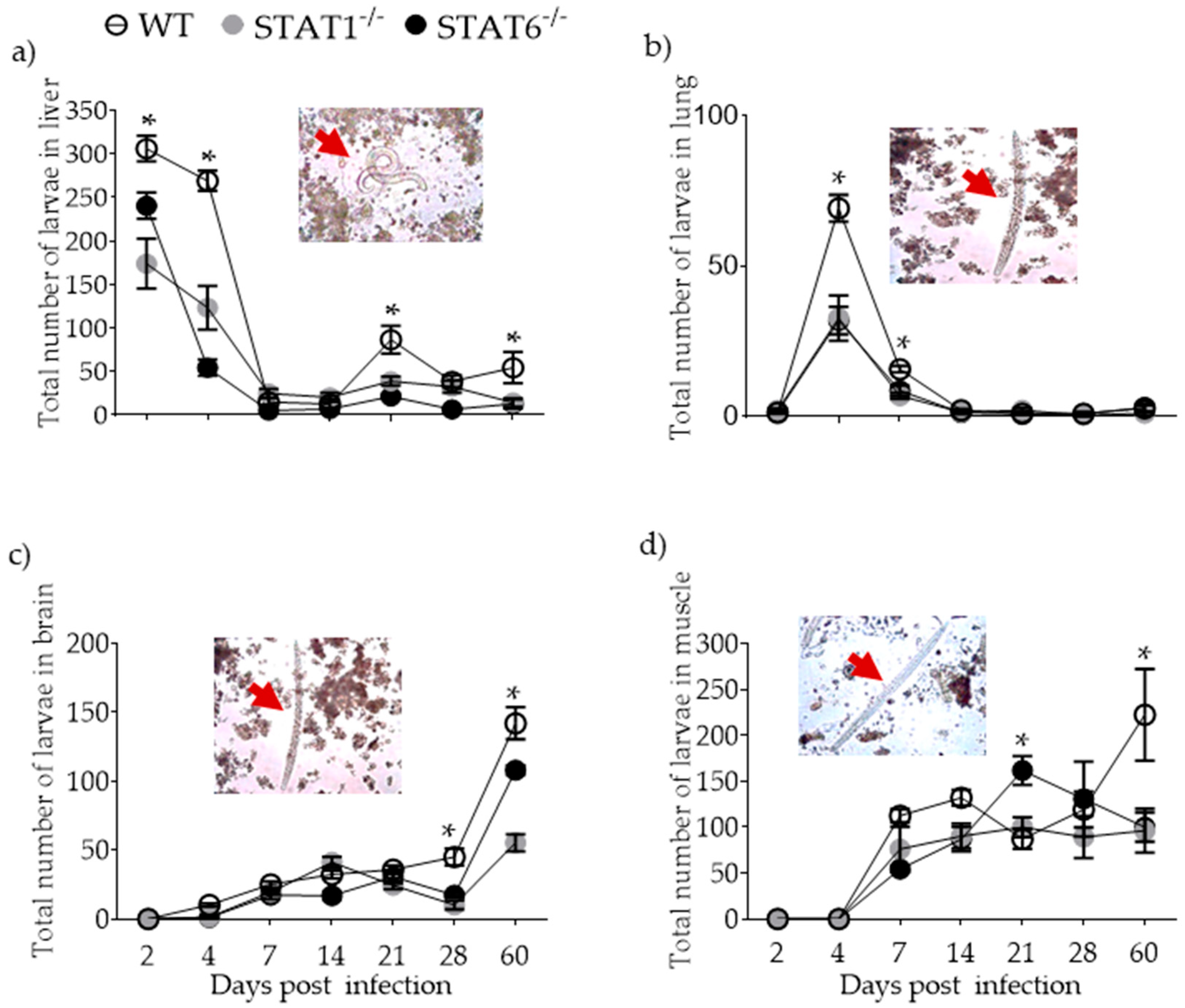 Pathogens 08 00280 g001 Pathogens 08 00280 g001