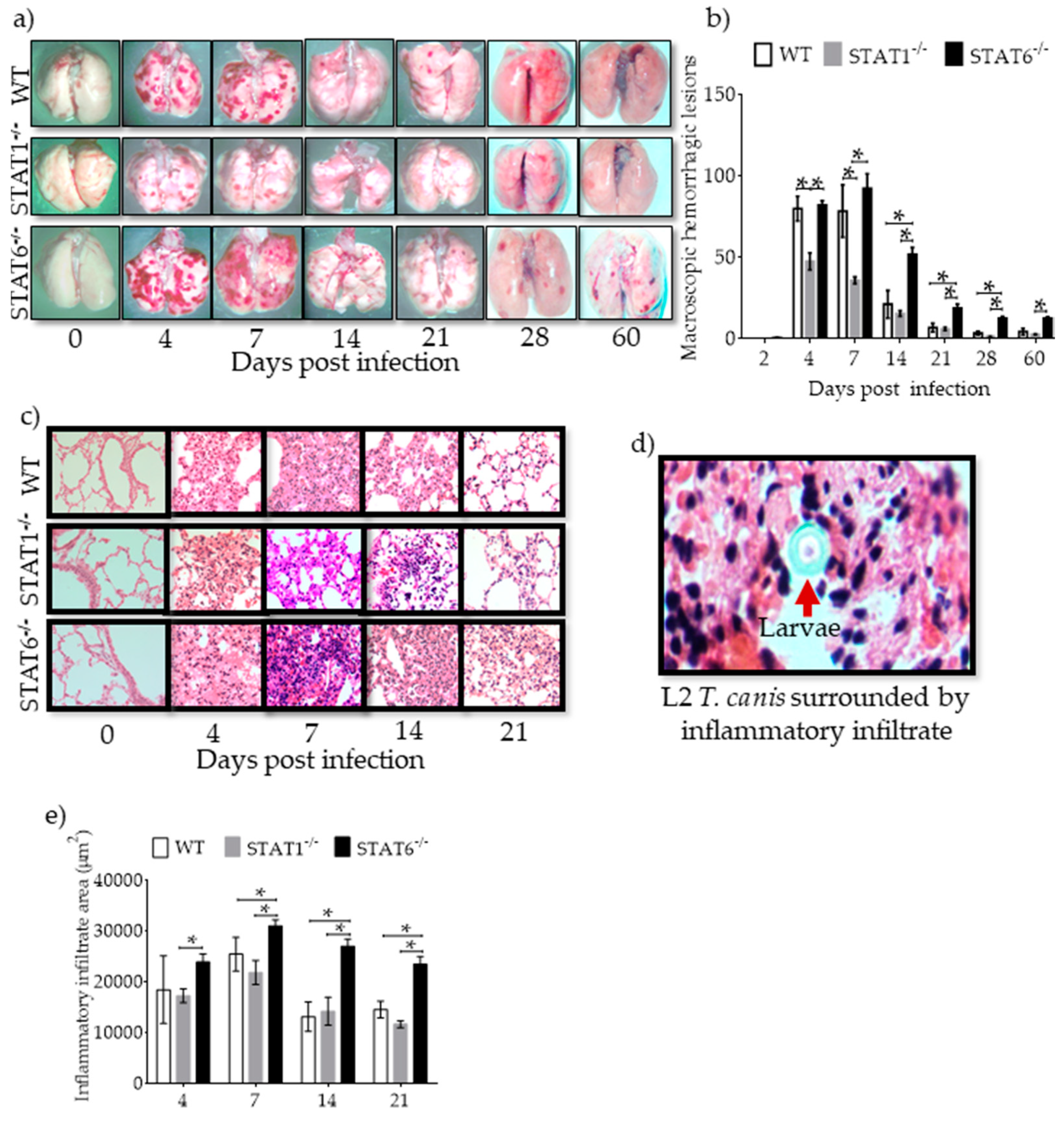 Pathogens 08 00280 g002 Pathogens 08 00280 g002