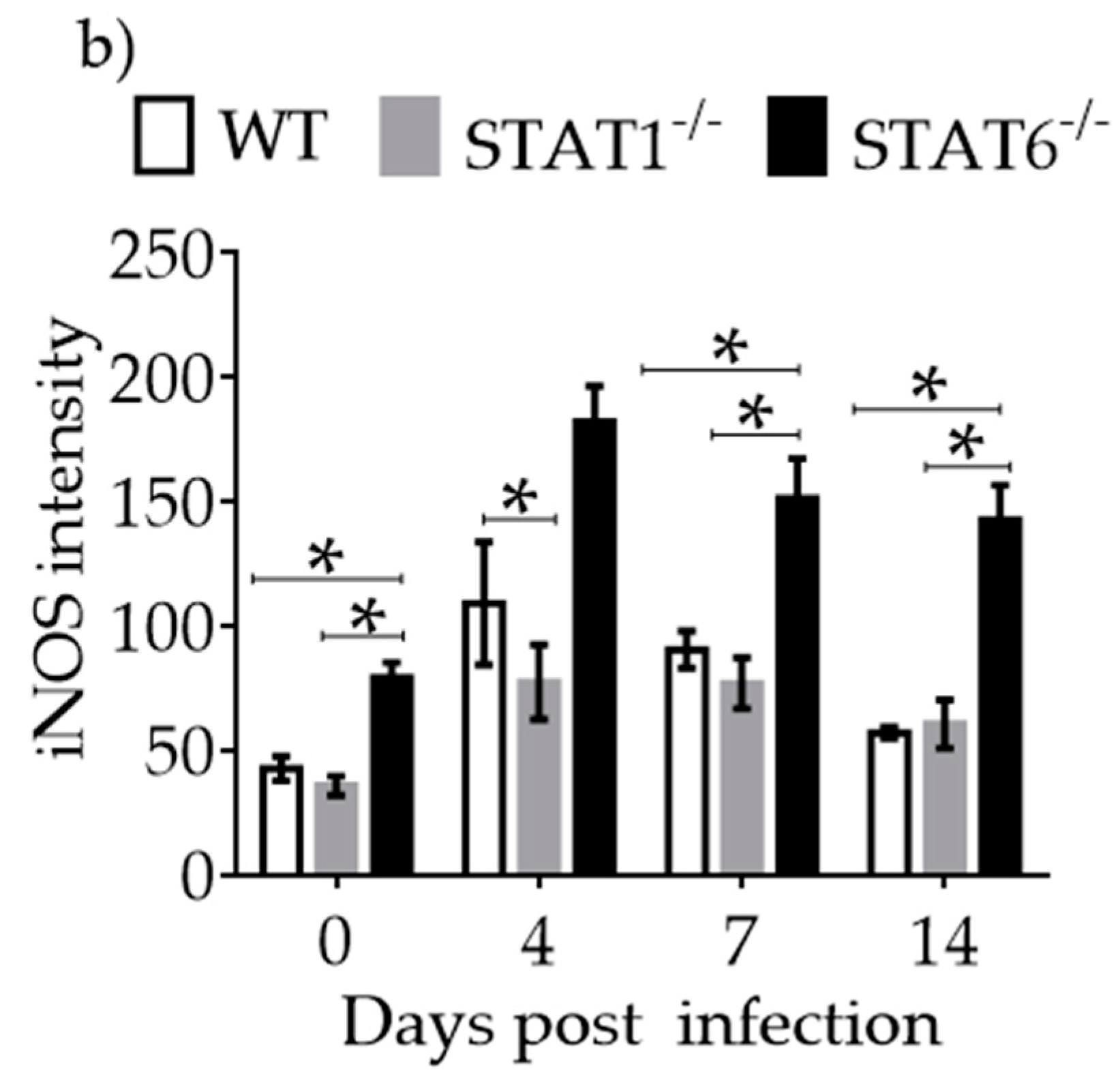 Pathogens 08 00280 g006b Pathogens 08 00280 g006b
