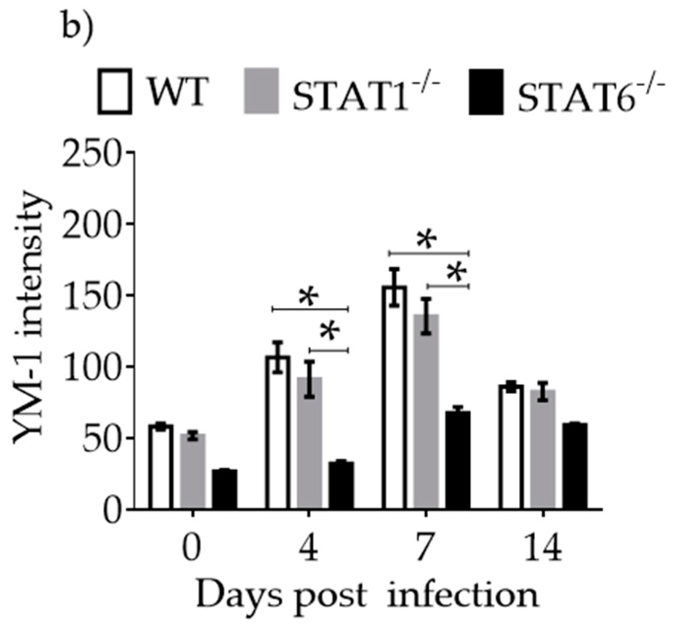 Pathogens 08 00280 g007b Pathogens 08 00280 g007b