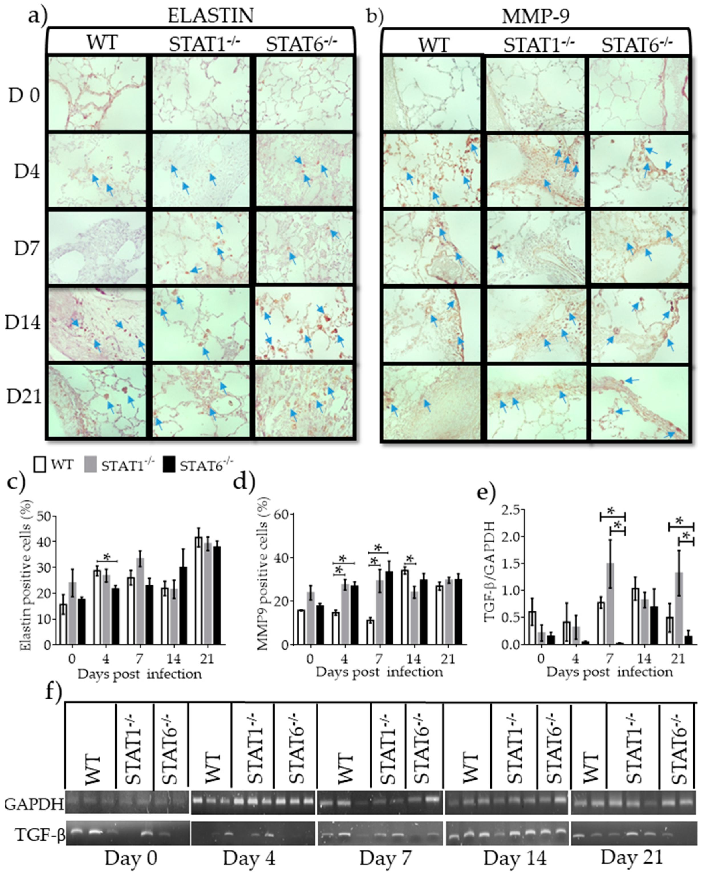 Pathogens 08 00280 g009 Pathogens 08 00280 g009