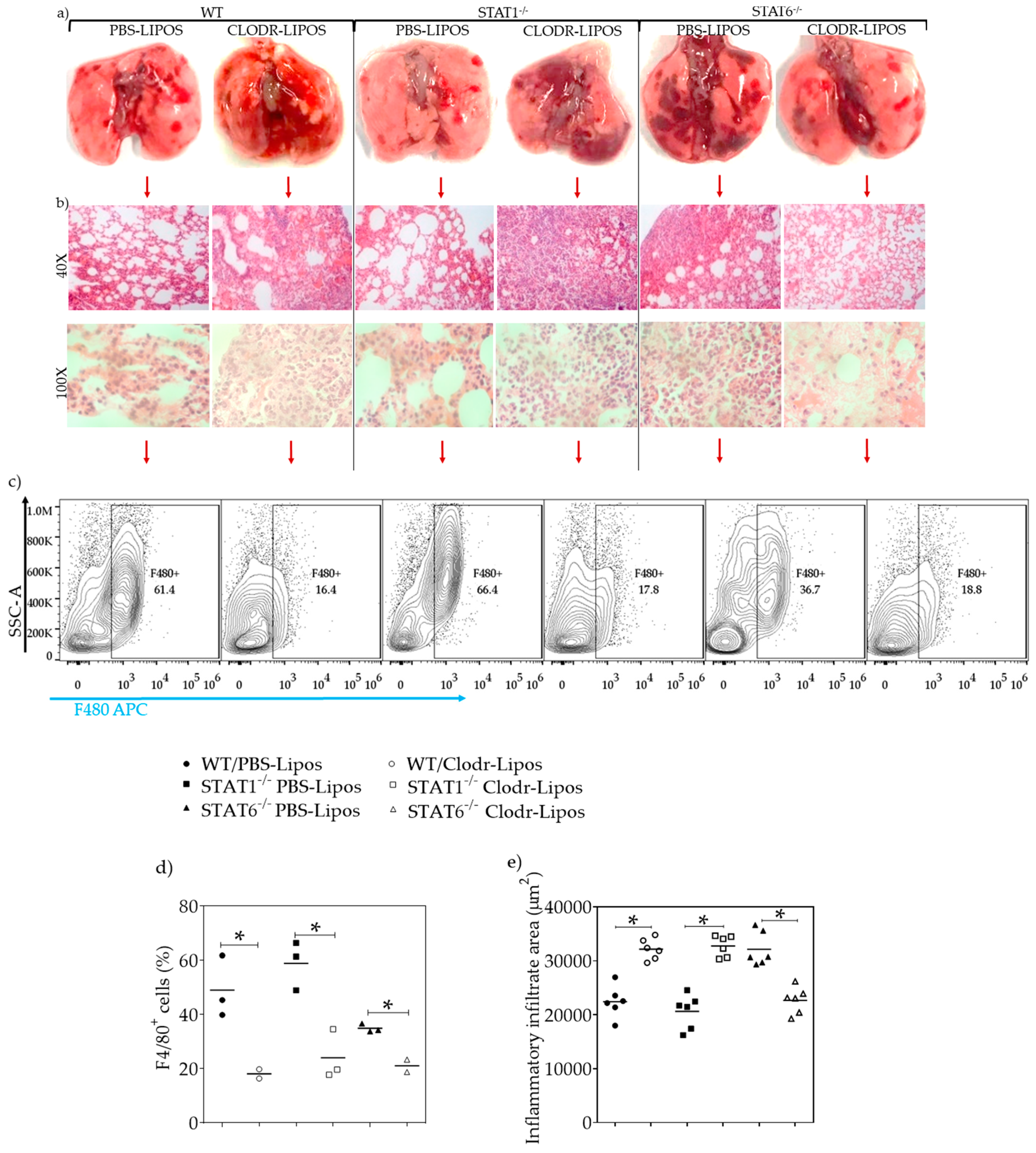 Pathogens 08 00280 g010 Pathogens 08 00280 g010