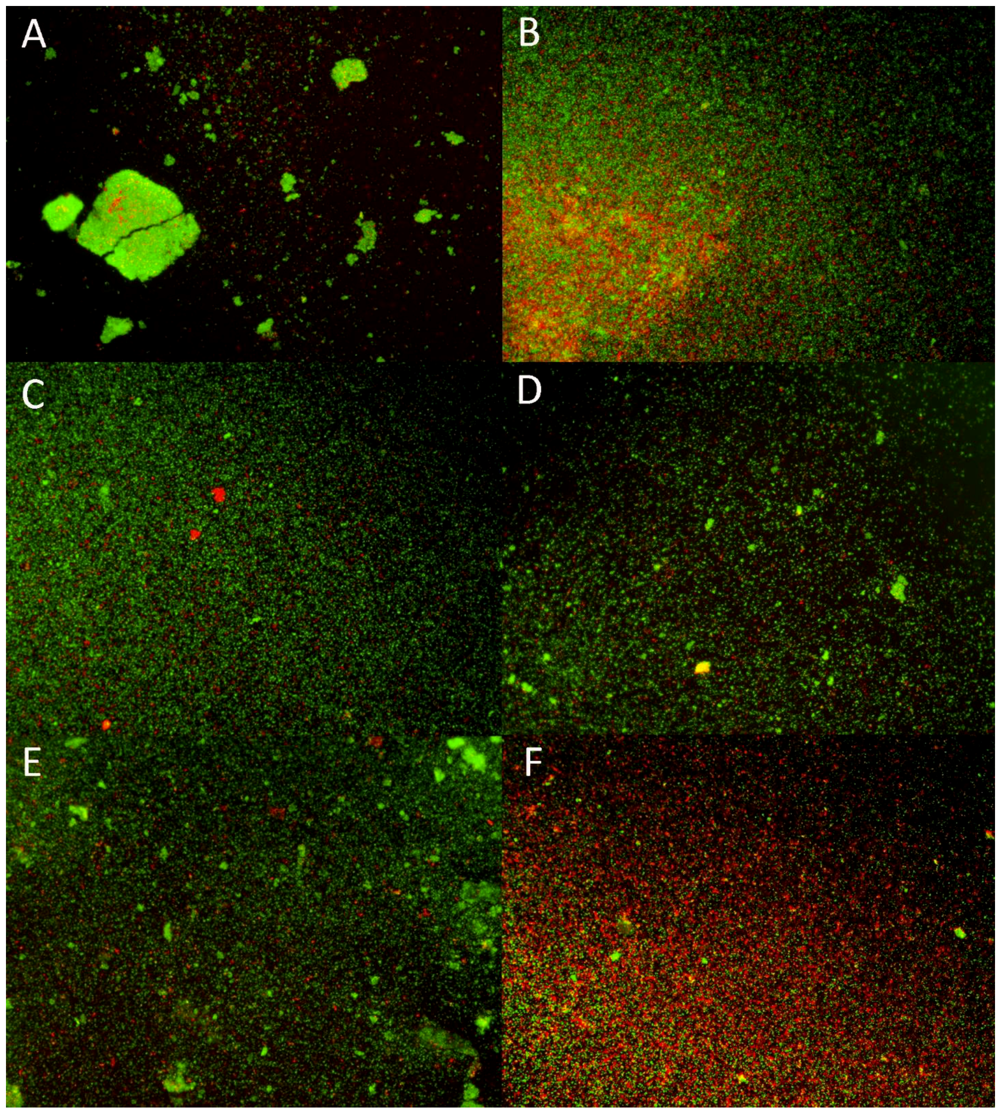 Pathogens 08 00284 g004 Pathogens 08 00284 g004