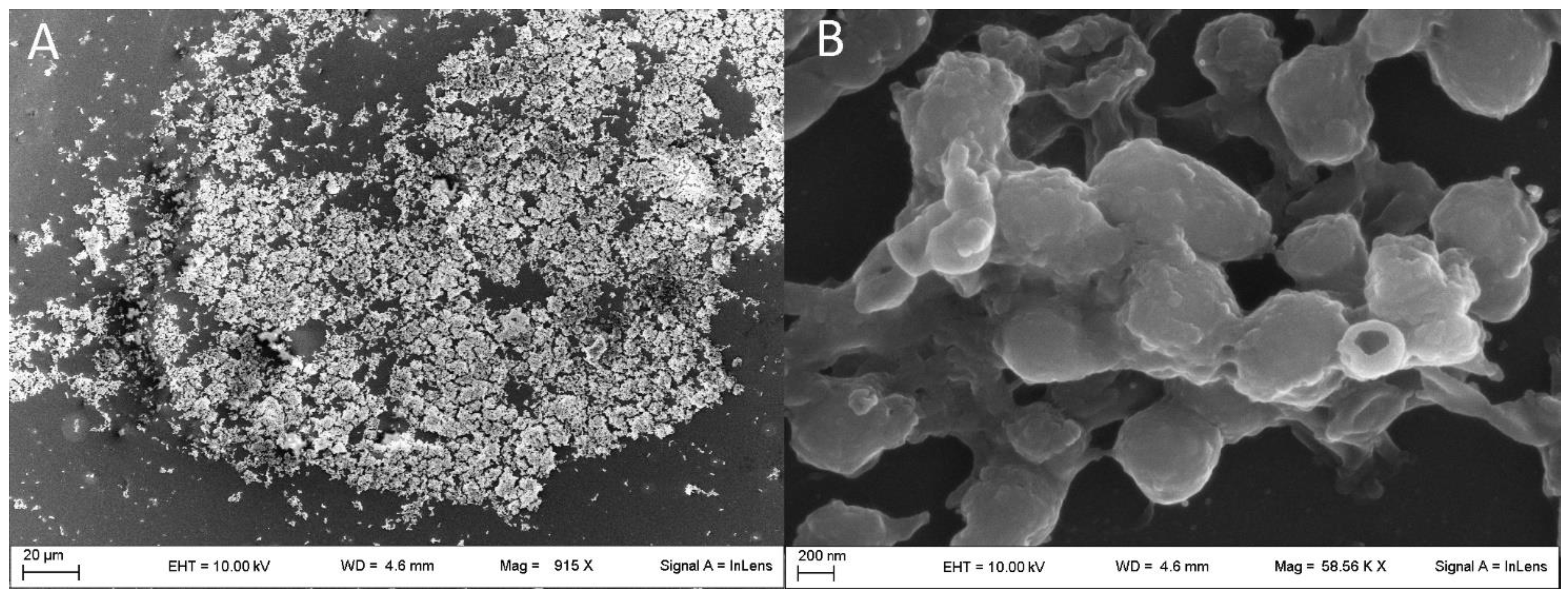 Pathogens 08 00284 g006 Pathogens 08 00284 g006