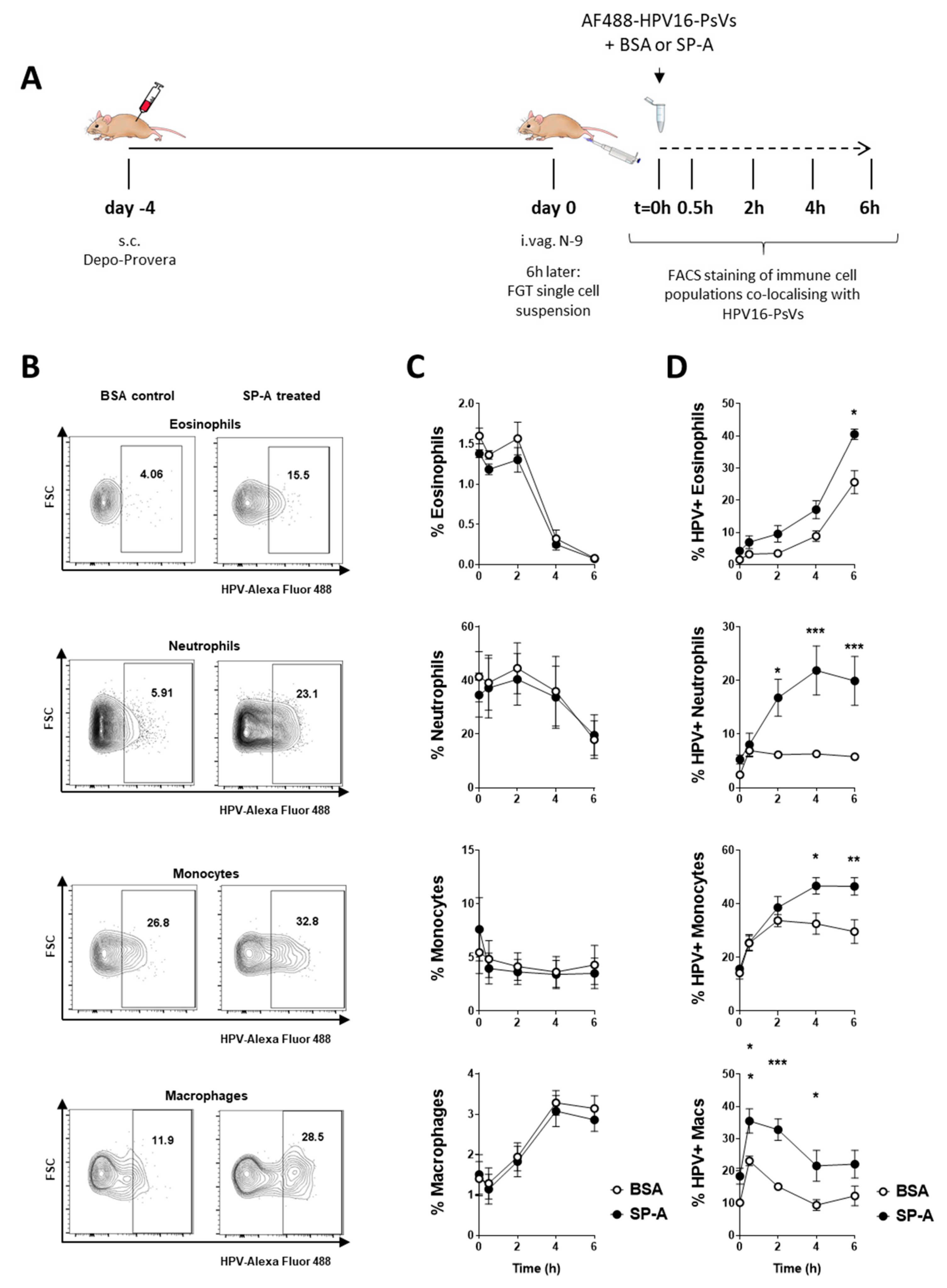 Pathogens 08 00288 g005 Pathogens 08 00288 g005