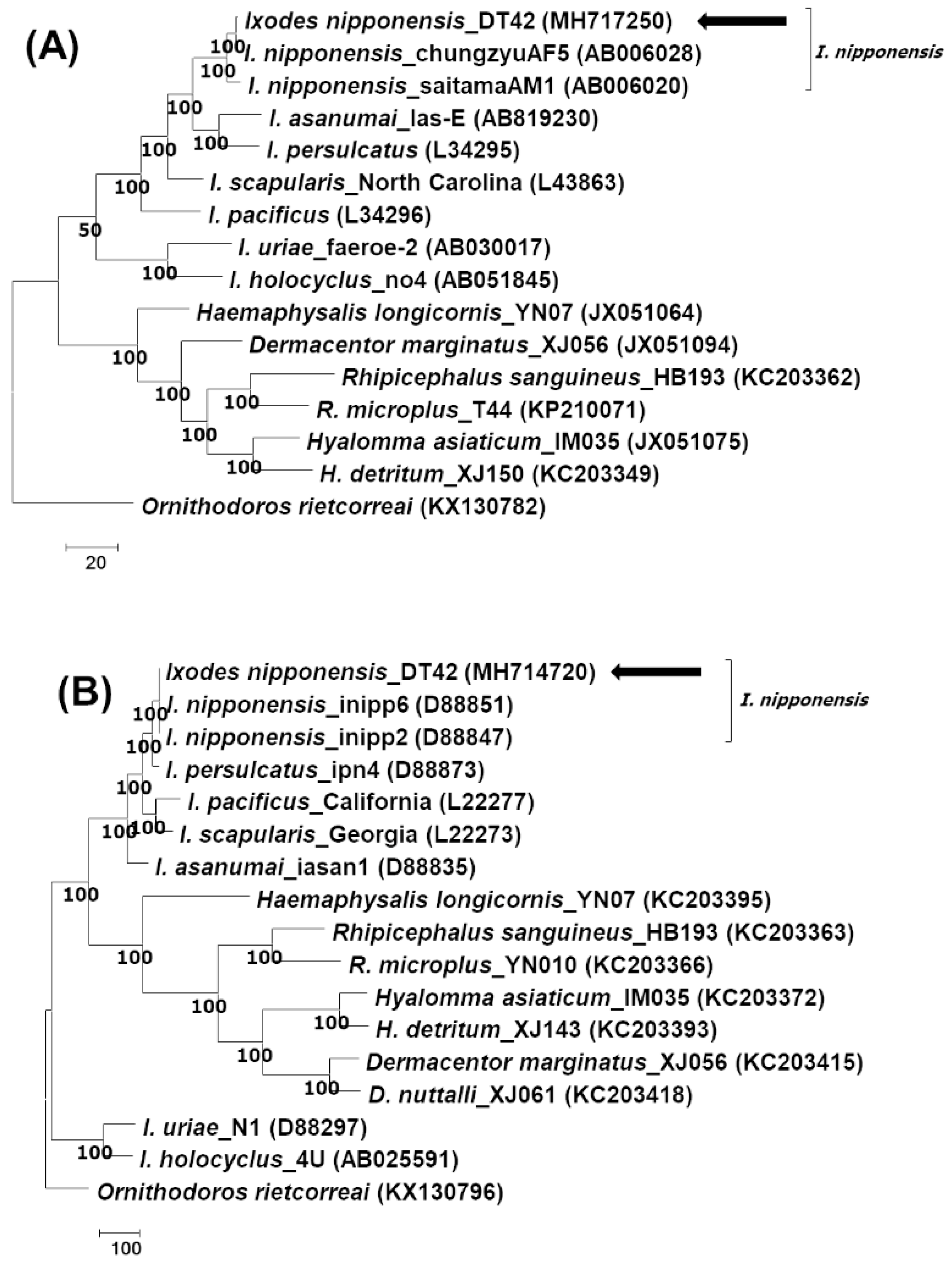 Pathogens 08 00289 g001 Pathogens 08 00289 g001