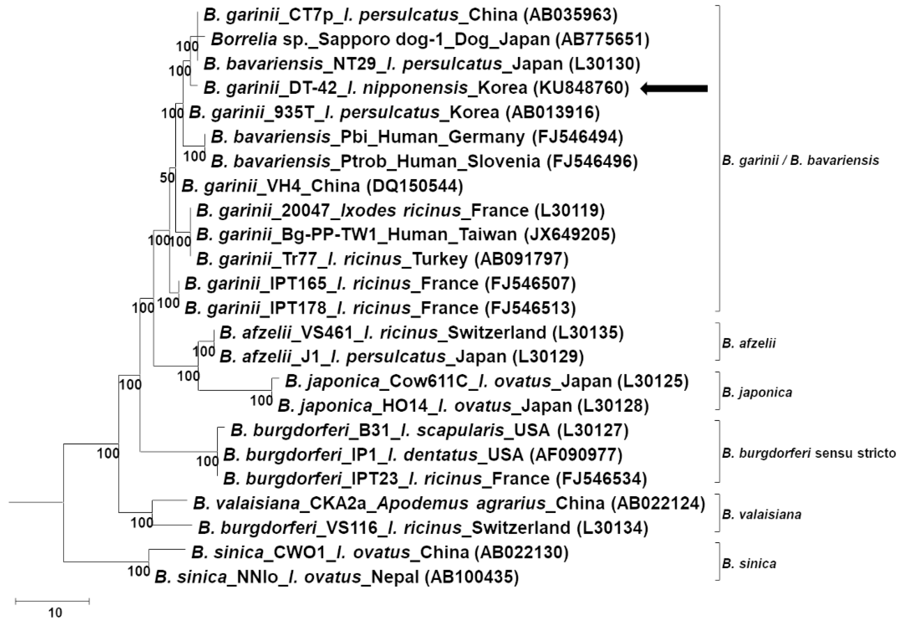 Pathogens 08 00289 g002 Pathogens 08 00289 g002
