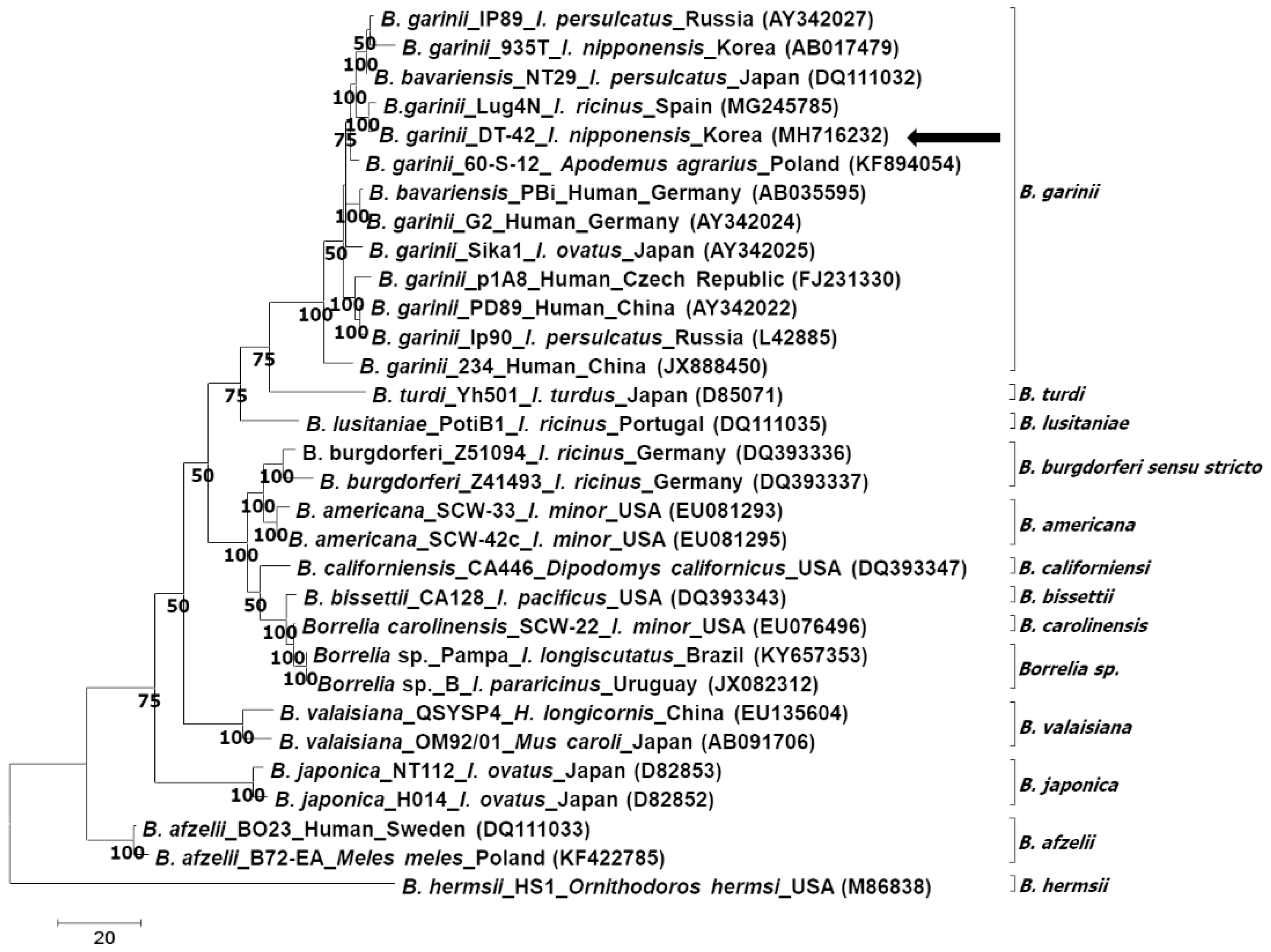 Pathogens 08 00289 g003 Pathogens 08 00289 g003