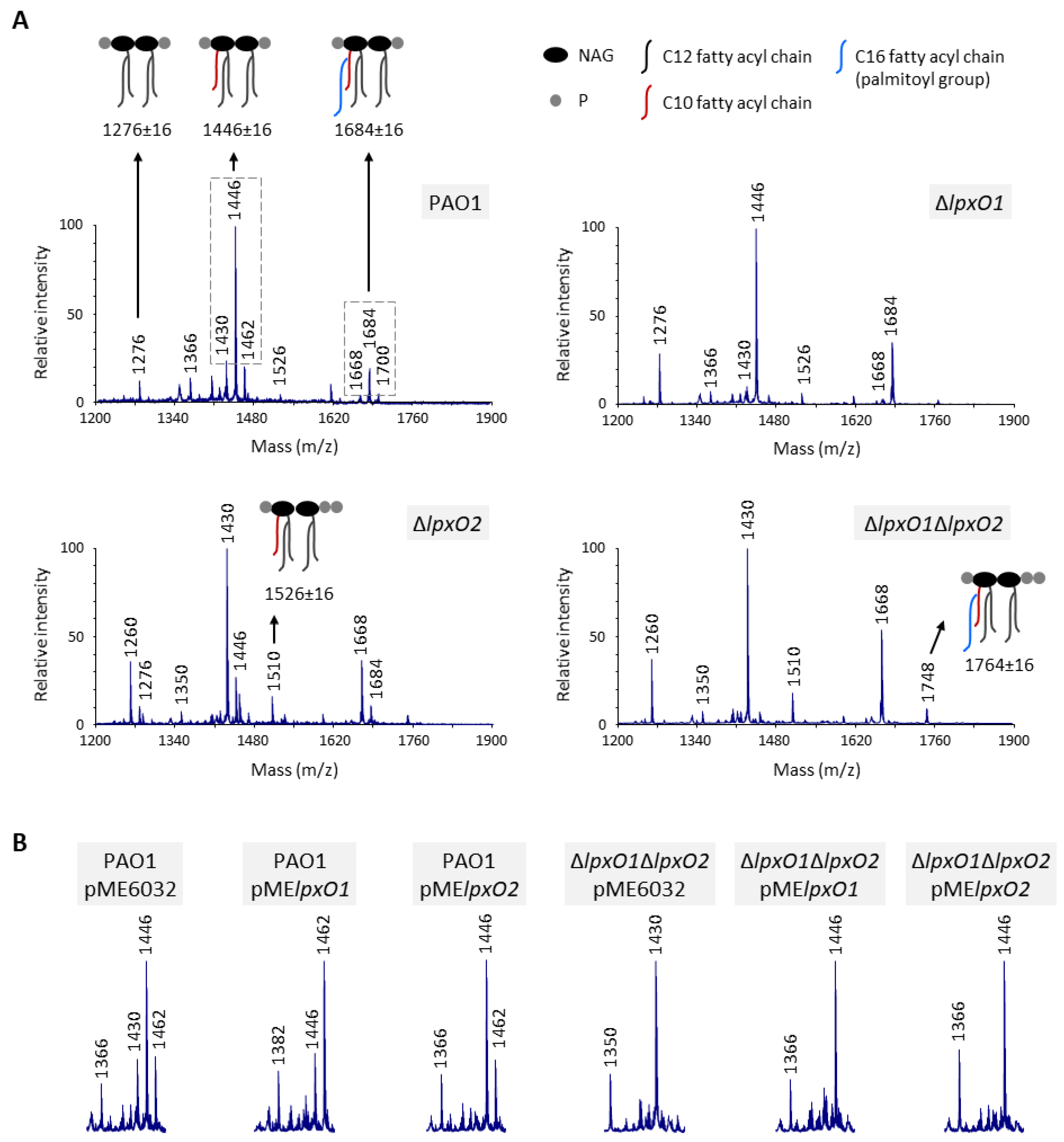 Pathogens 08 00291 g002