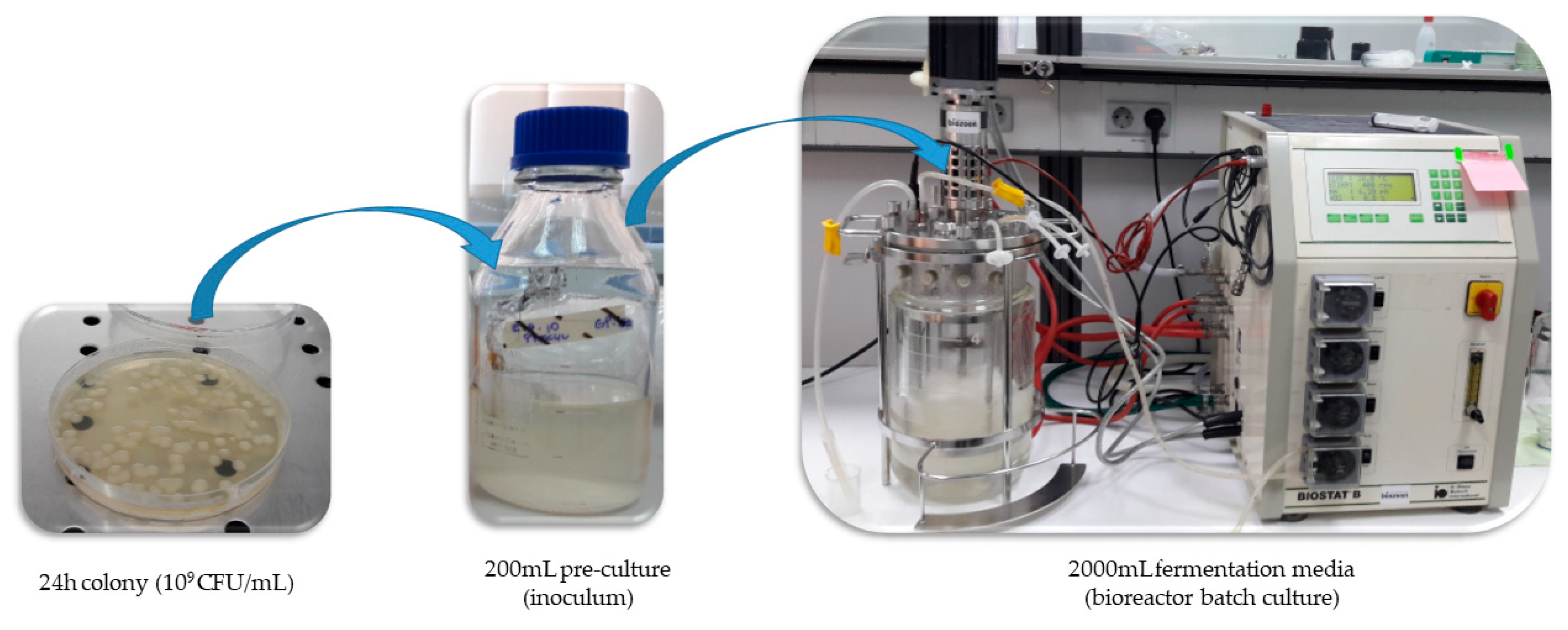 Pathogens 08 00293 g003 Pathogens 08 00293 g003