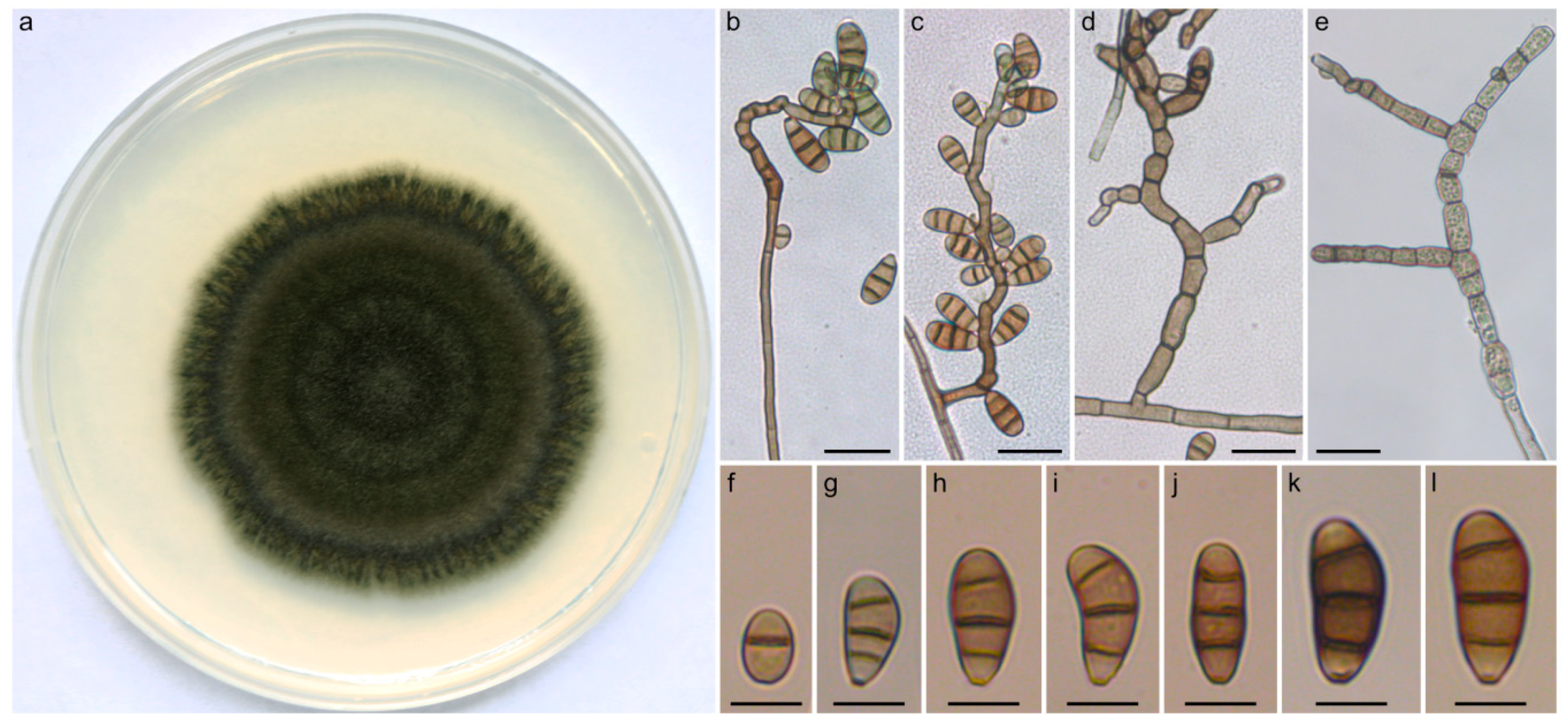 Pathogens 09 00009 g002