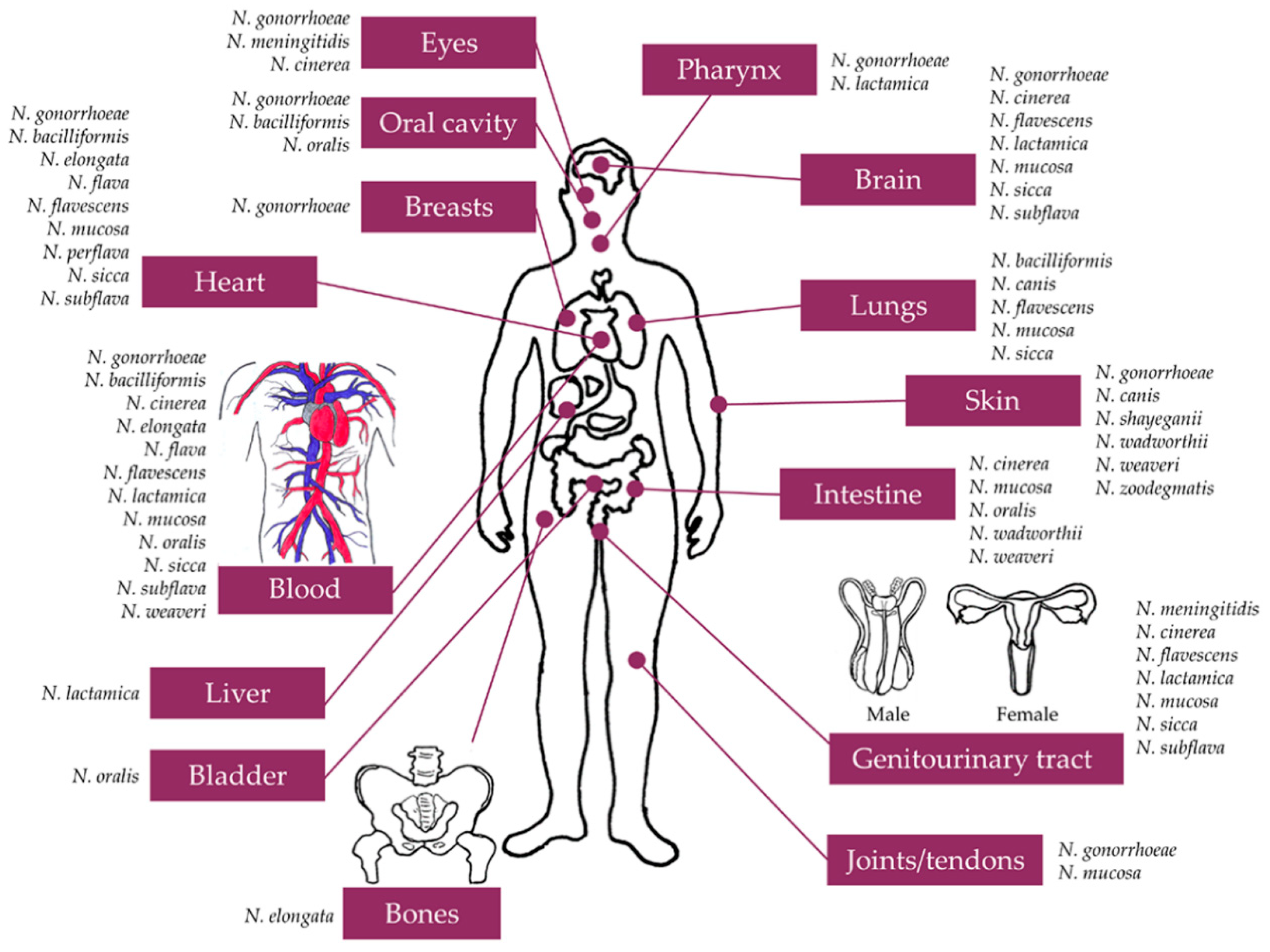 Pathogens 09 00010 g001