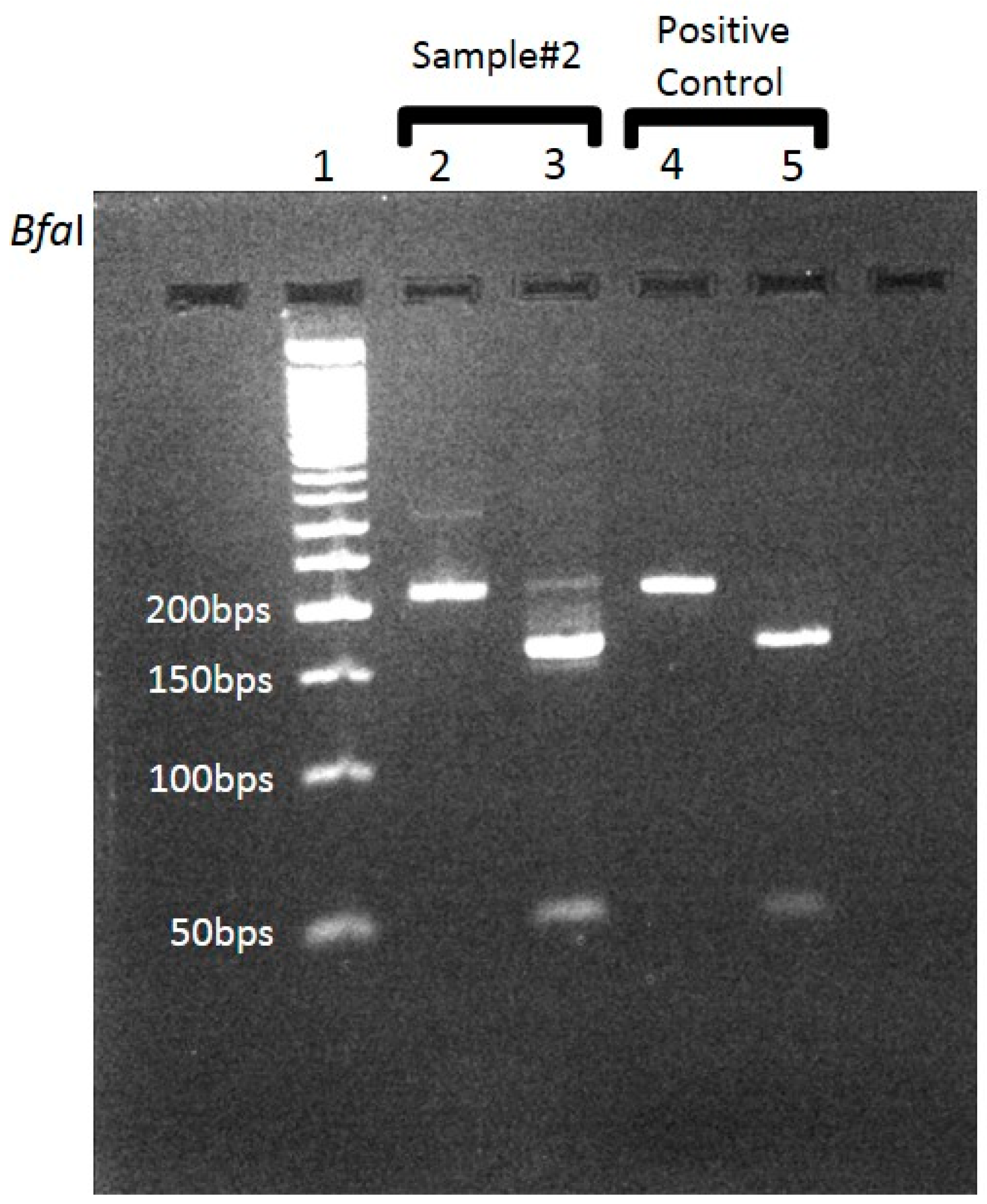 Pathogens 09 00011 g001