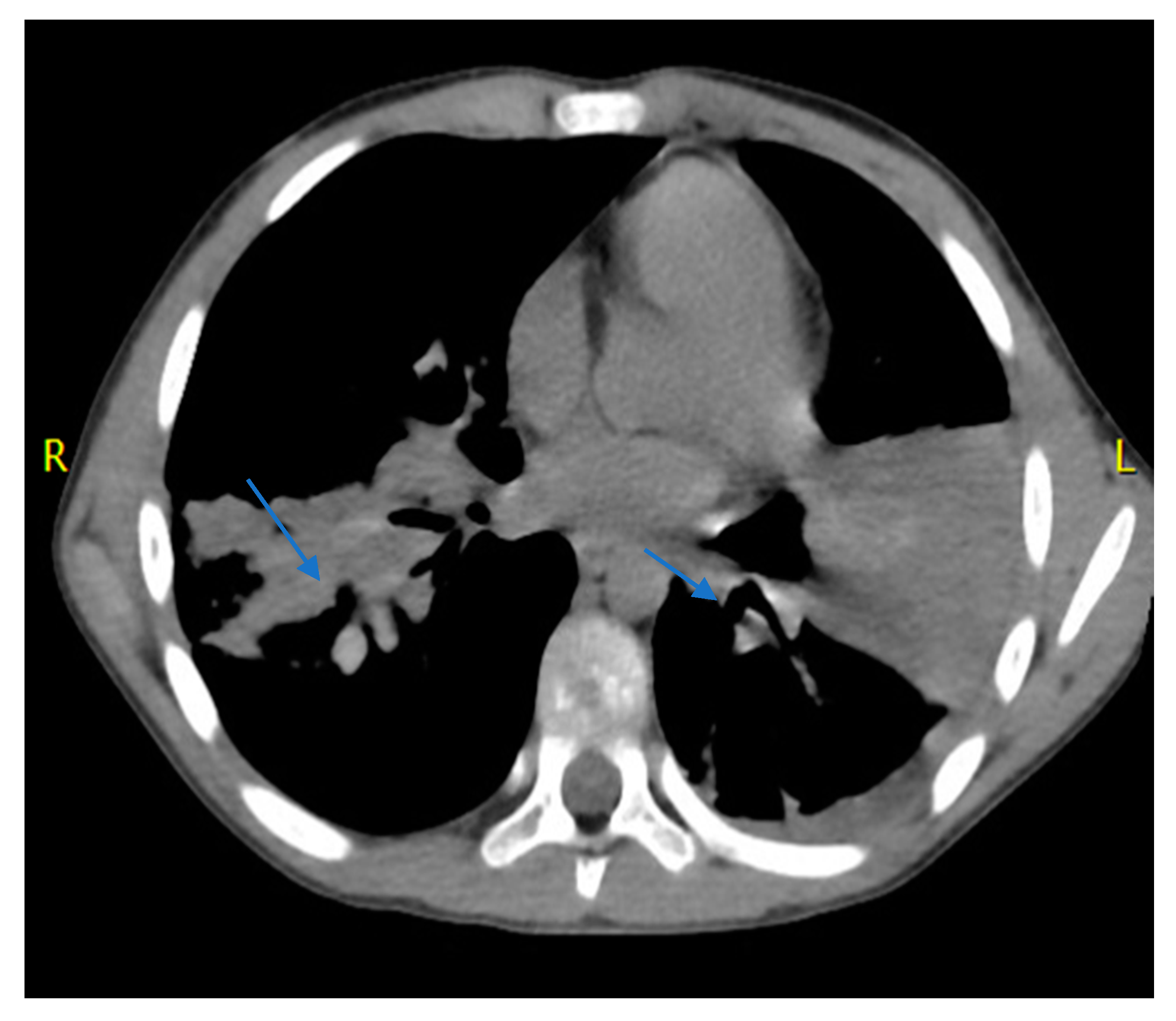 Pathogens 09 00015 g001 Pathogens 09 00015 g001