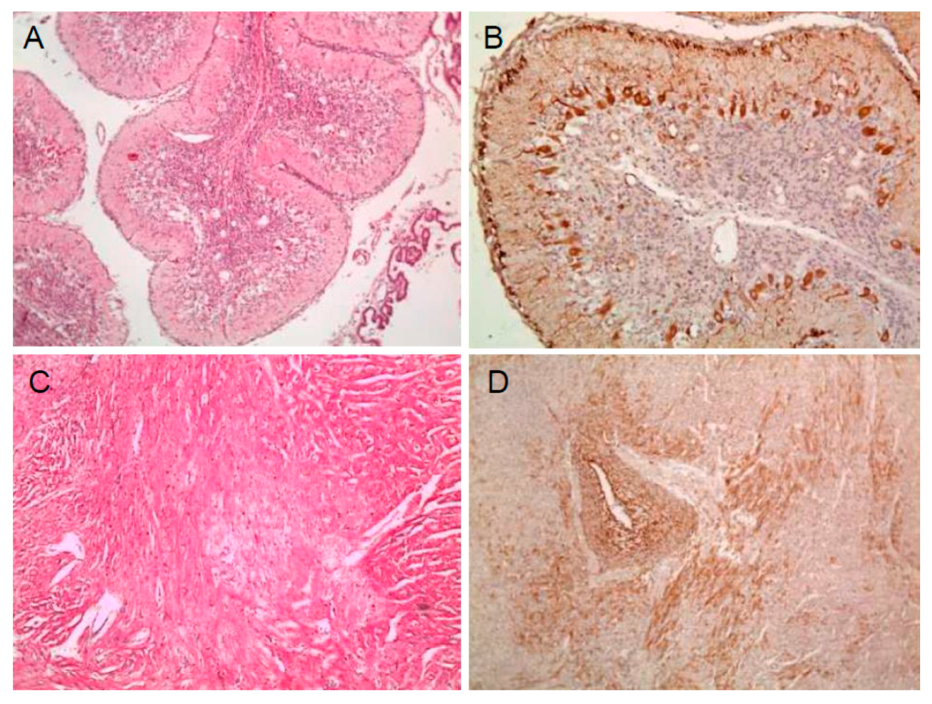 Pathogens 09 00018 g001 Pathogens 09 00018 g001