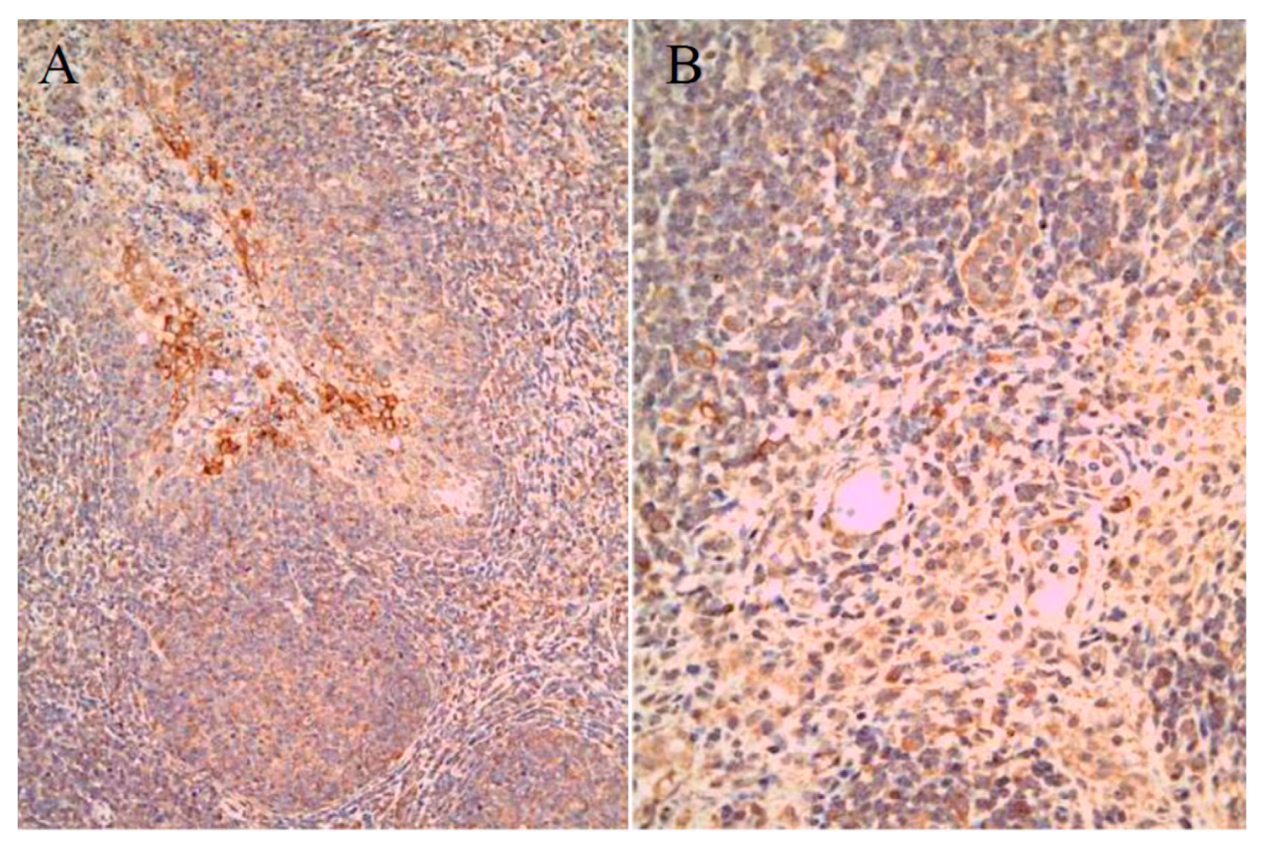 Pathogens 09 00018 g003 Pathogens 09 00018 g003