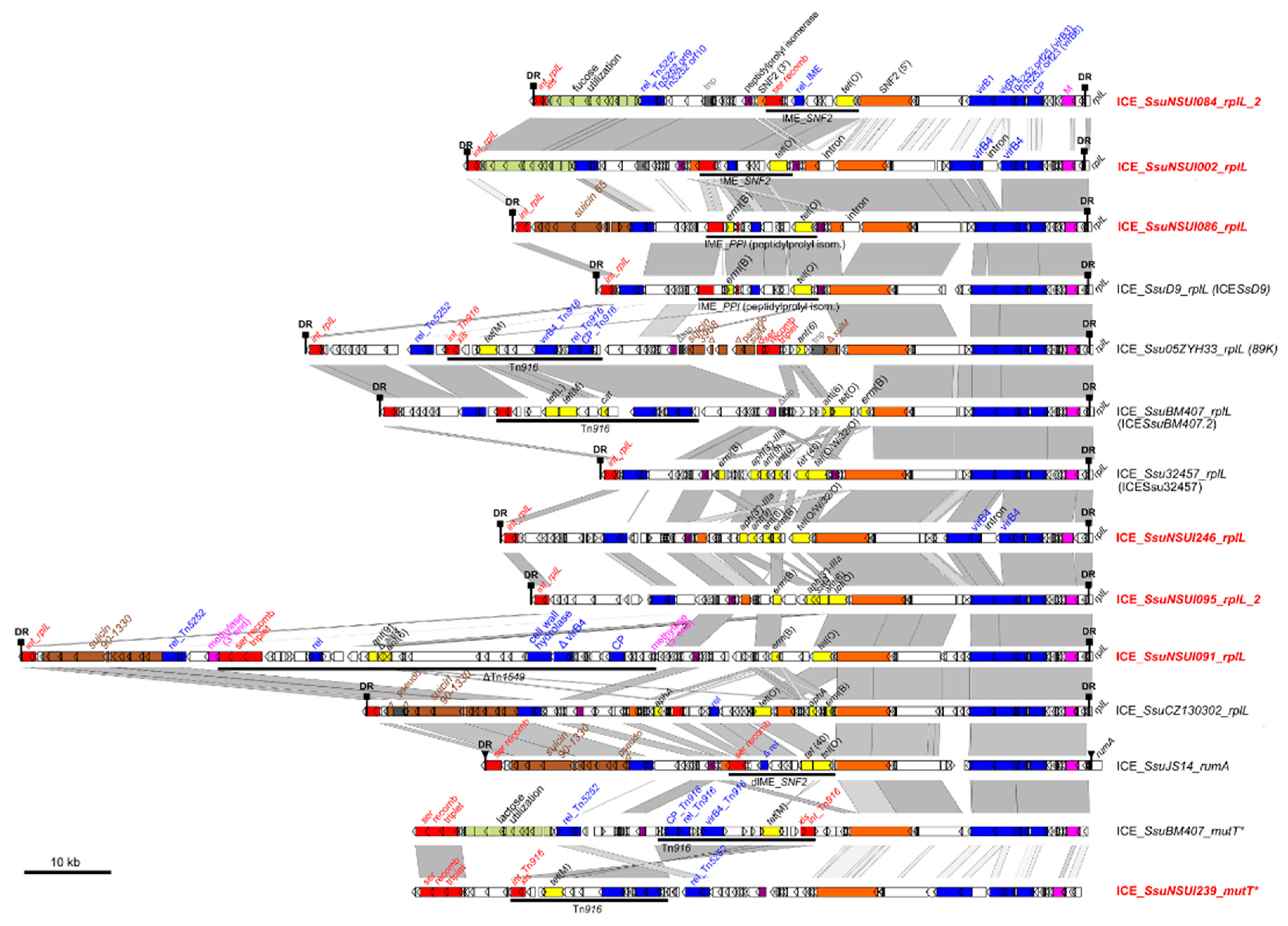 Pathogens 09 00022 g007 Pathogens 09 00022 g007