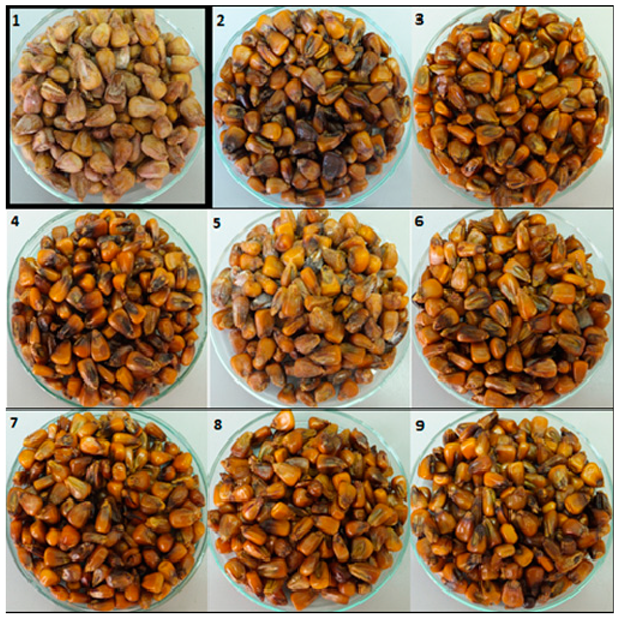 Pathogens 09 00023 g001