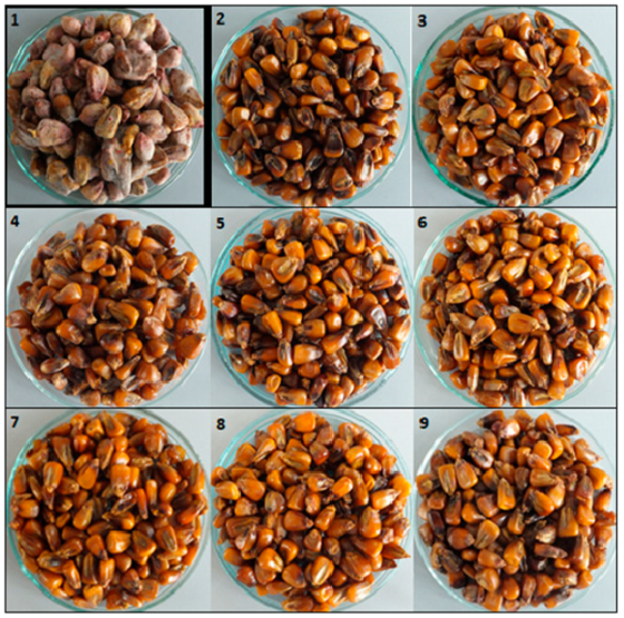 Pathogens 09 00023 g002