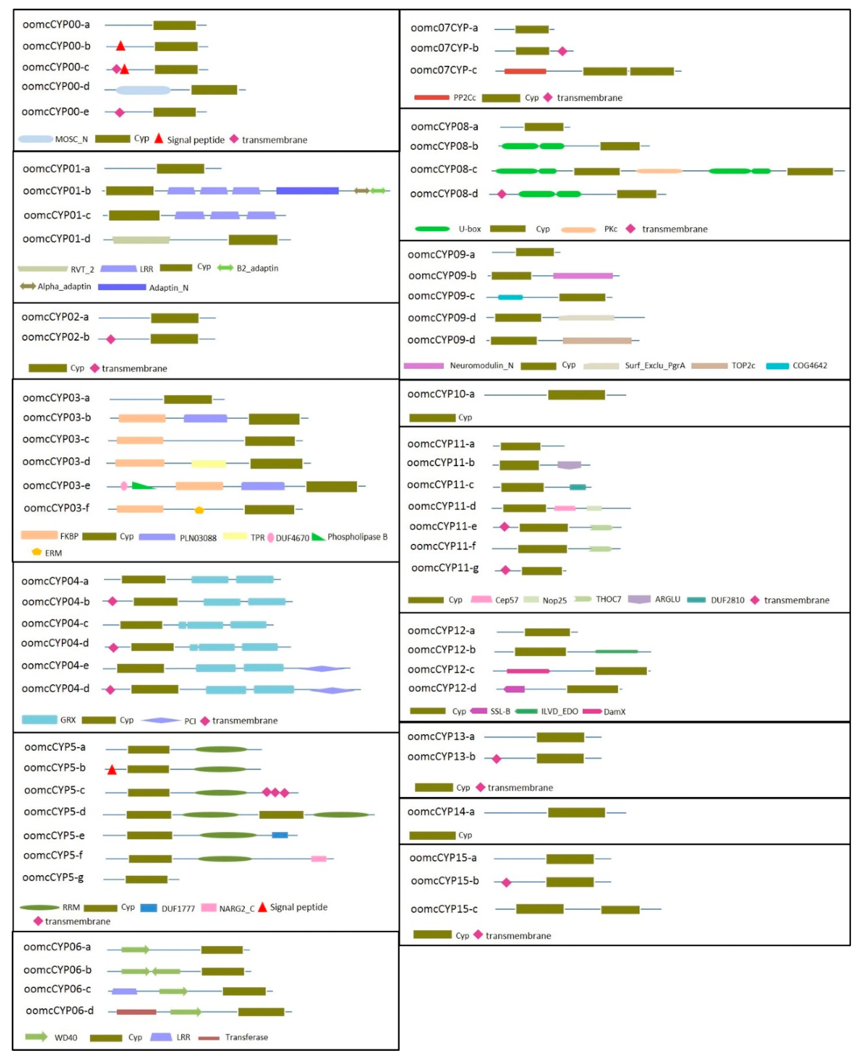 Pathogens 09 00024 g001 Pathogens 09 00024 g001