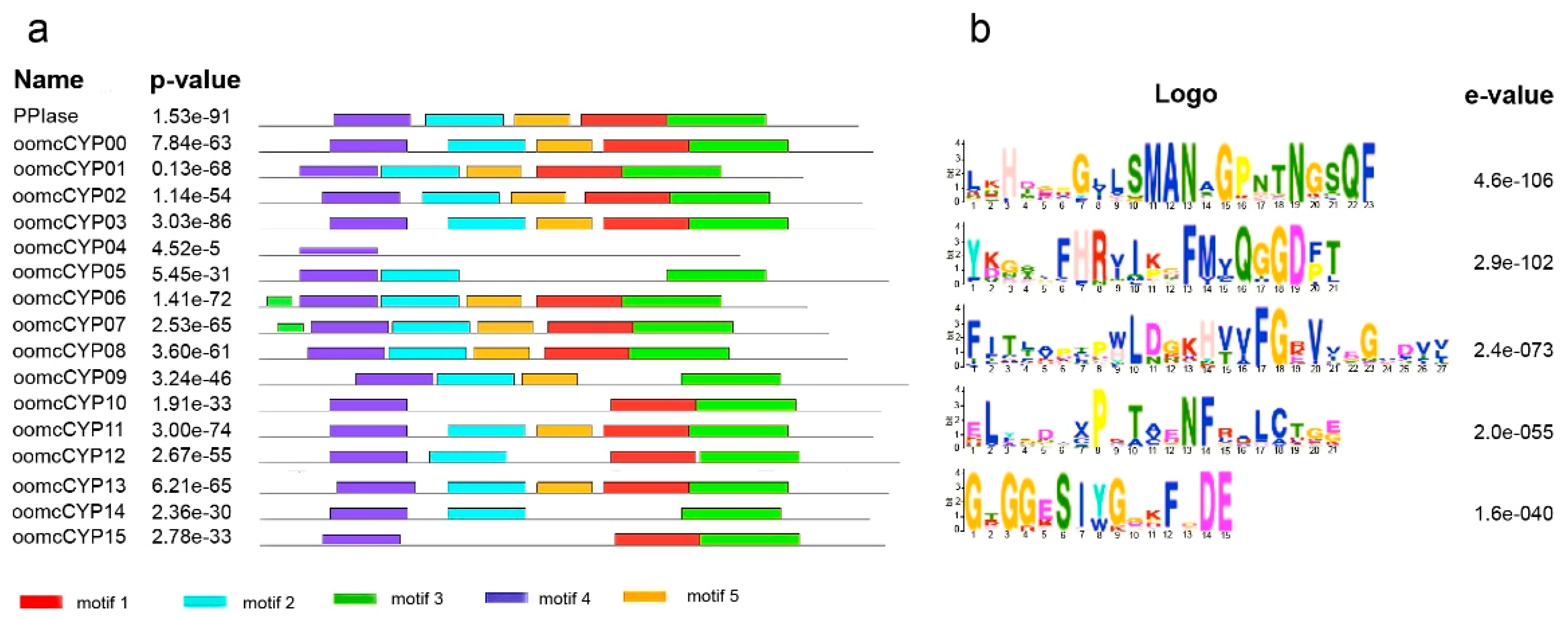 Pathogens 09 00024 g002 Pathogens 09 00024 g002