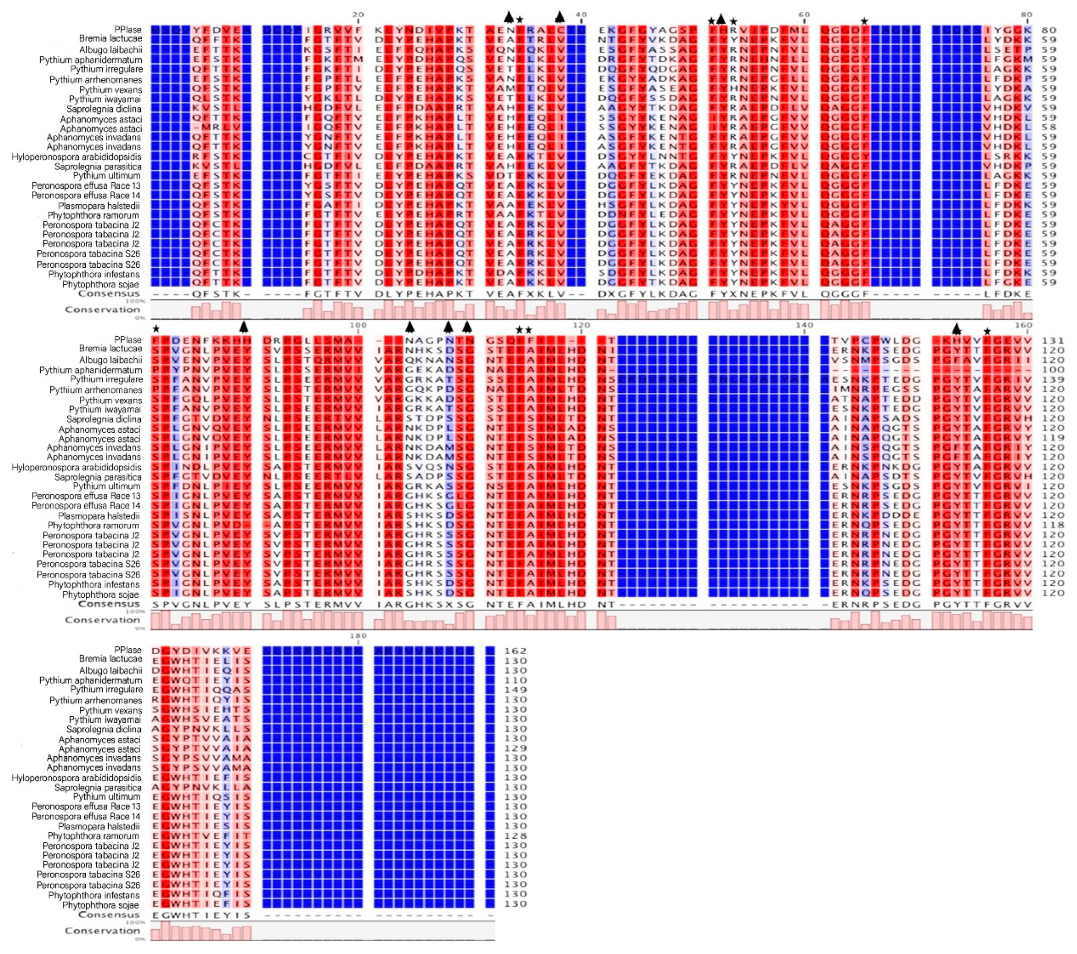Pathogens 09 00024 g004 Pathogens 09 00024 g004