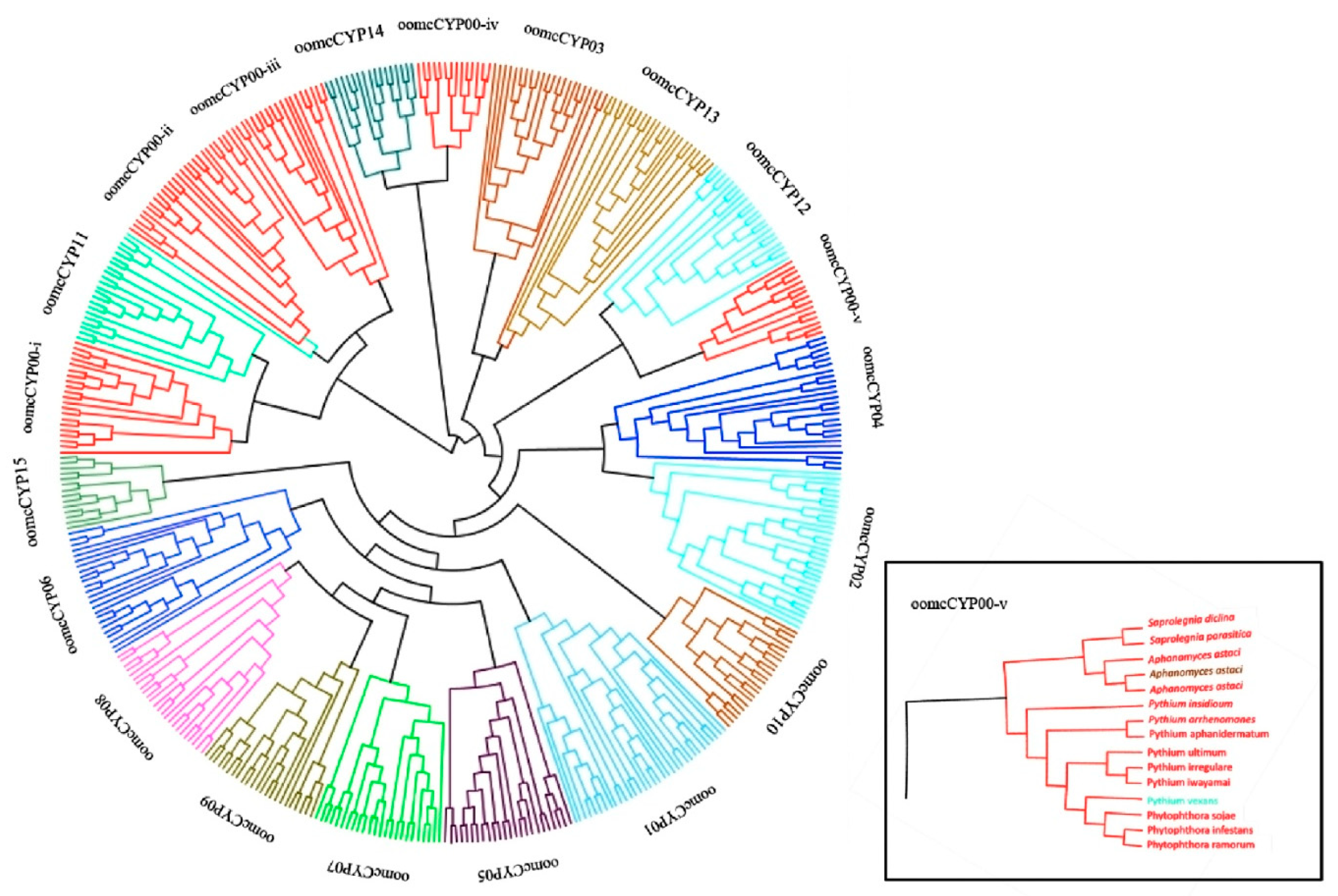 Pathogens 09 00024 g005 Pathogens 09 00024 g005