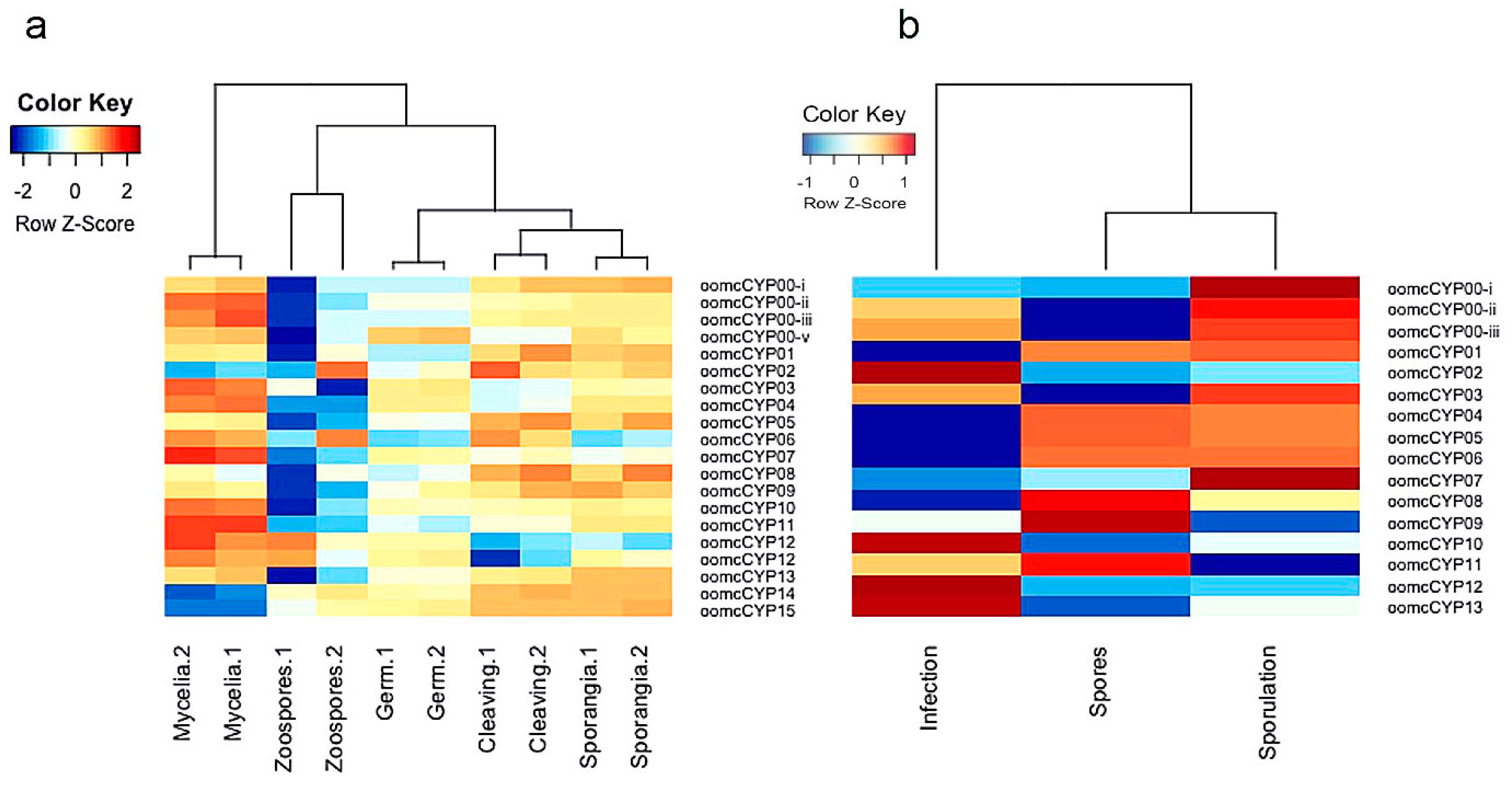Pathogens 09 00024 g006 Pathogens 09 00024 g006