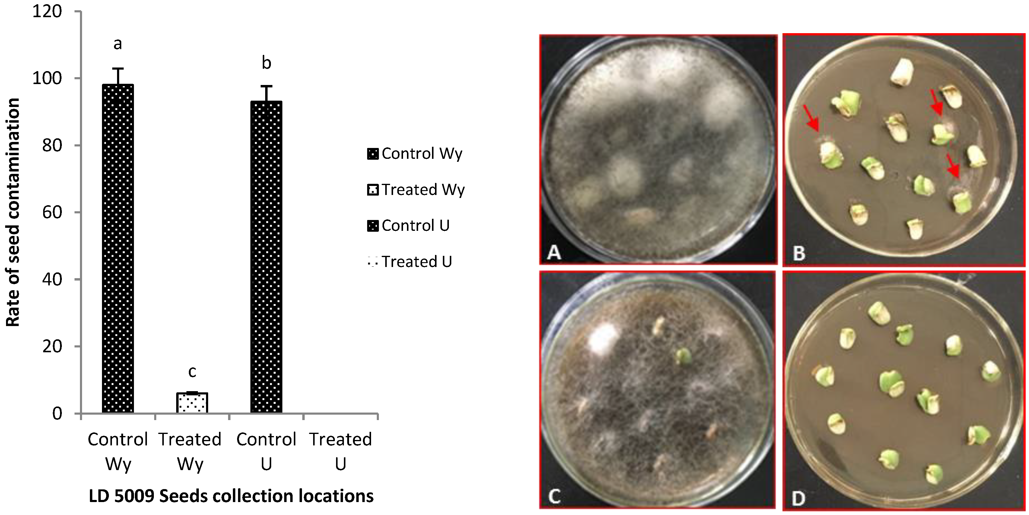 Pathogens 09 00029 g005 Pathogens 09 00029 g005