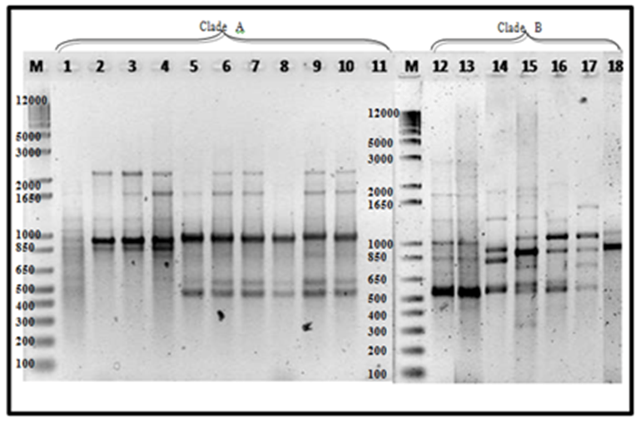 Pathogens 09 00032 g005
