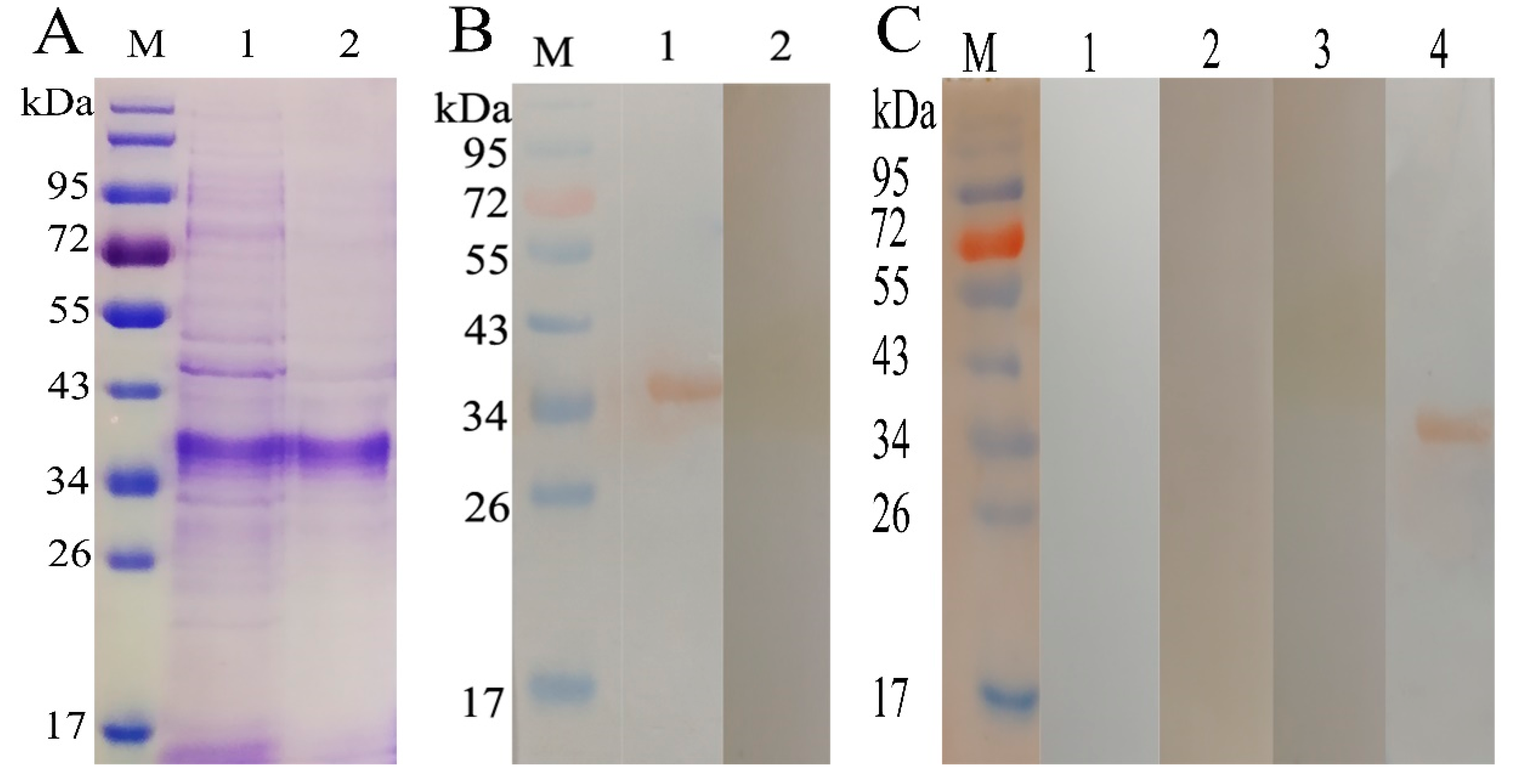 Pathogens 09 00034 g001