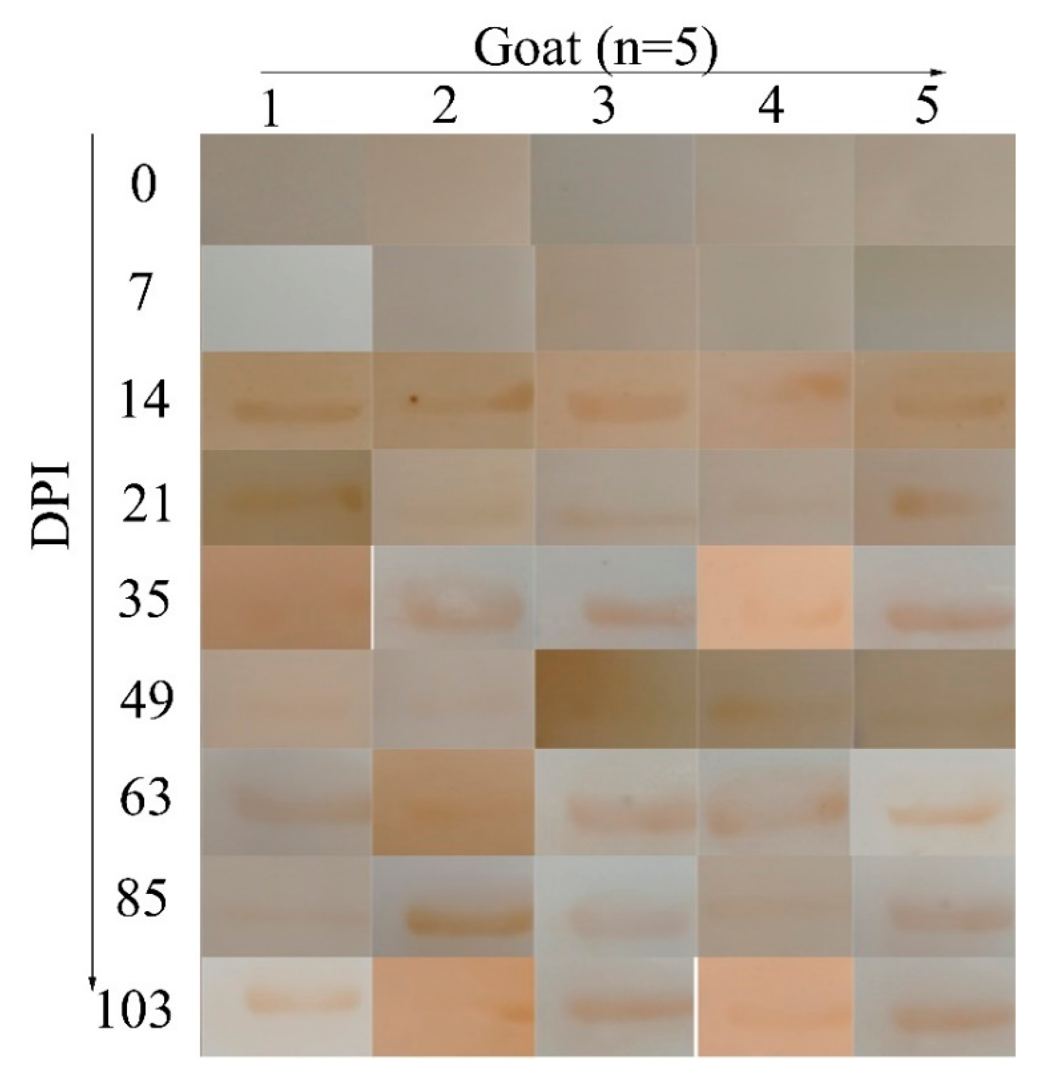 Pathogens 09 00034 g002