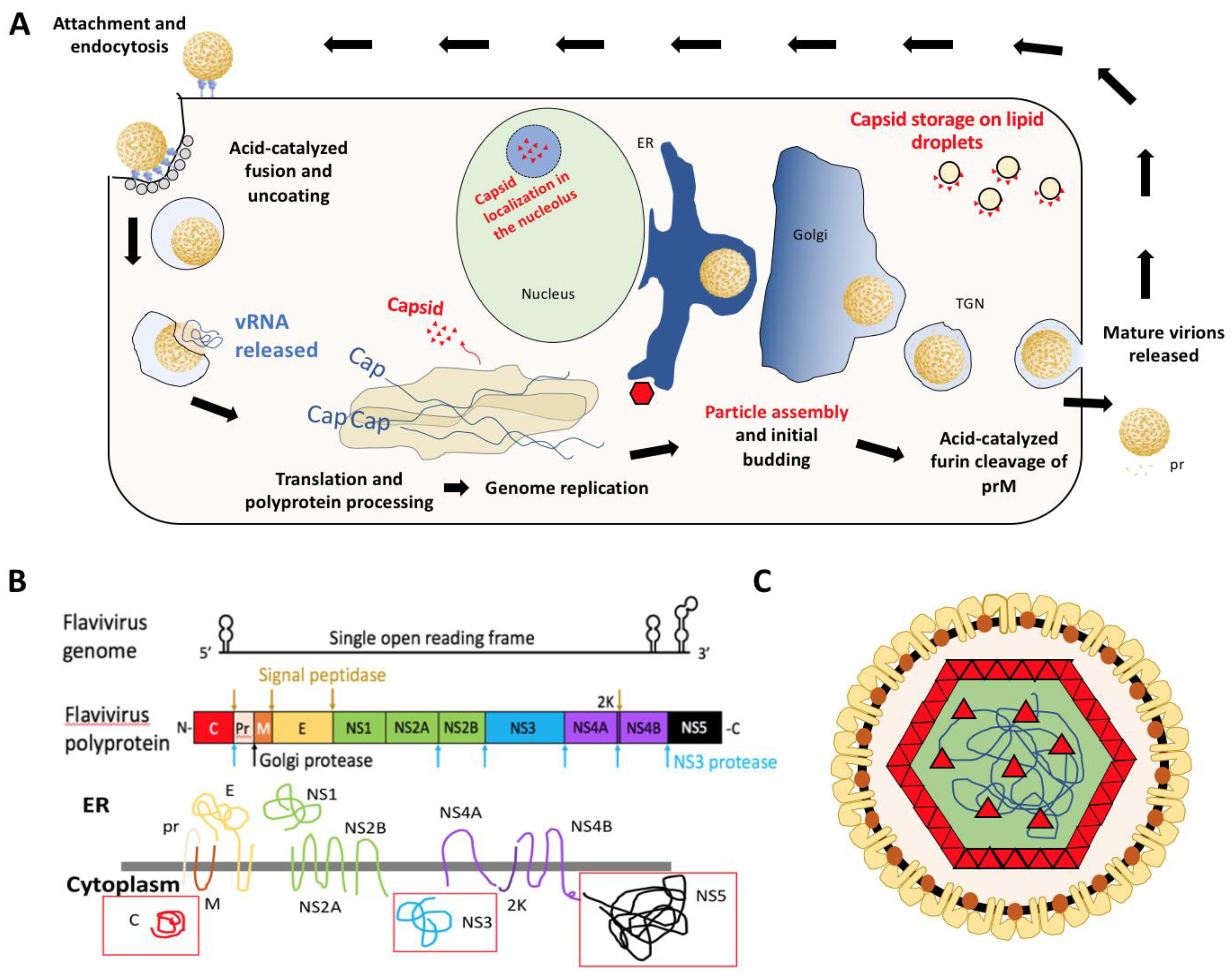 Pathogens 09 00042 g001