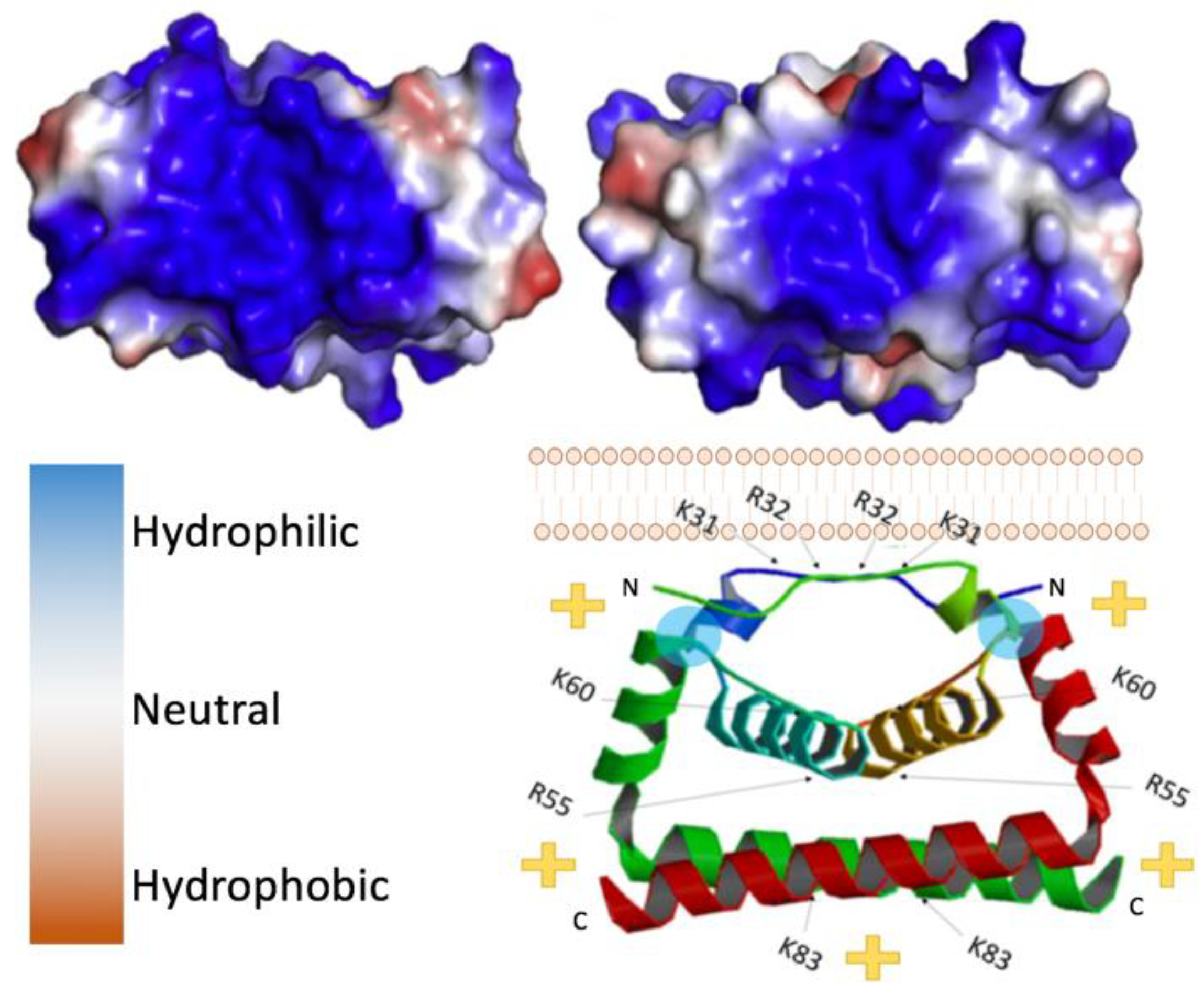 Pathogens 09 00042 g002