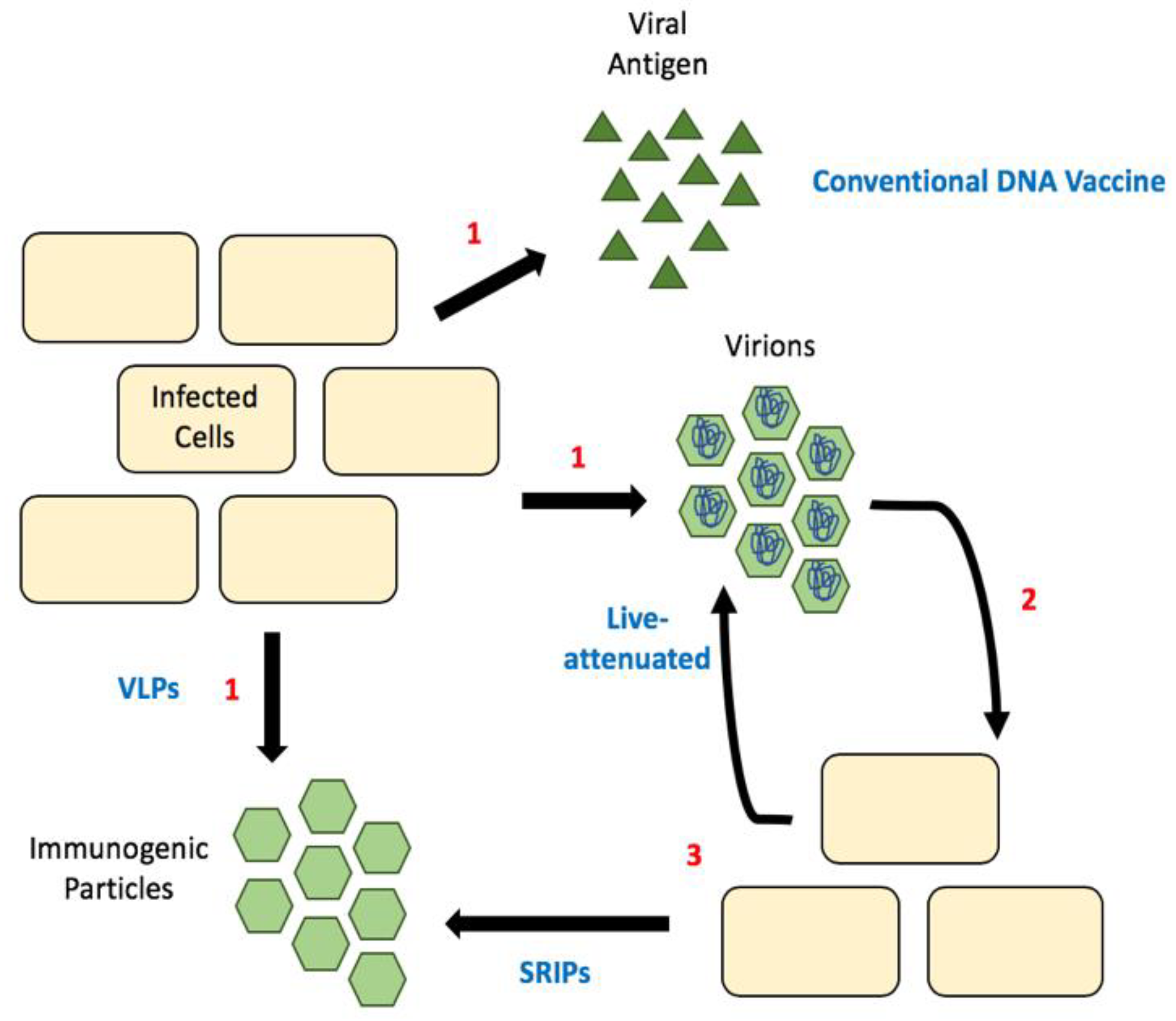 Pathogens 09 00042 g003