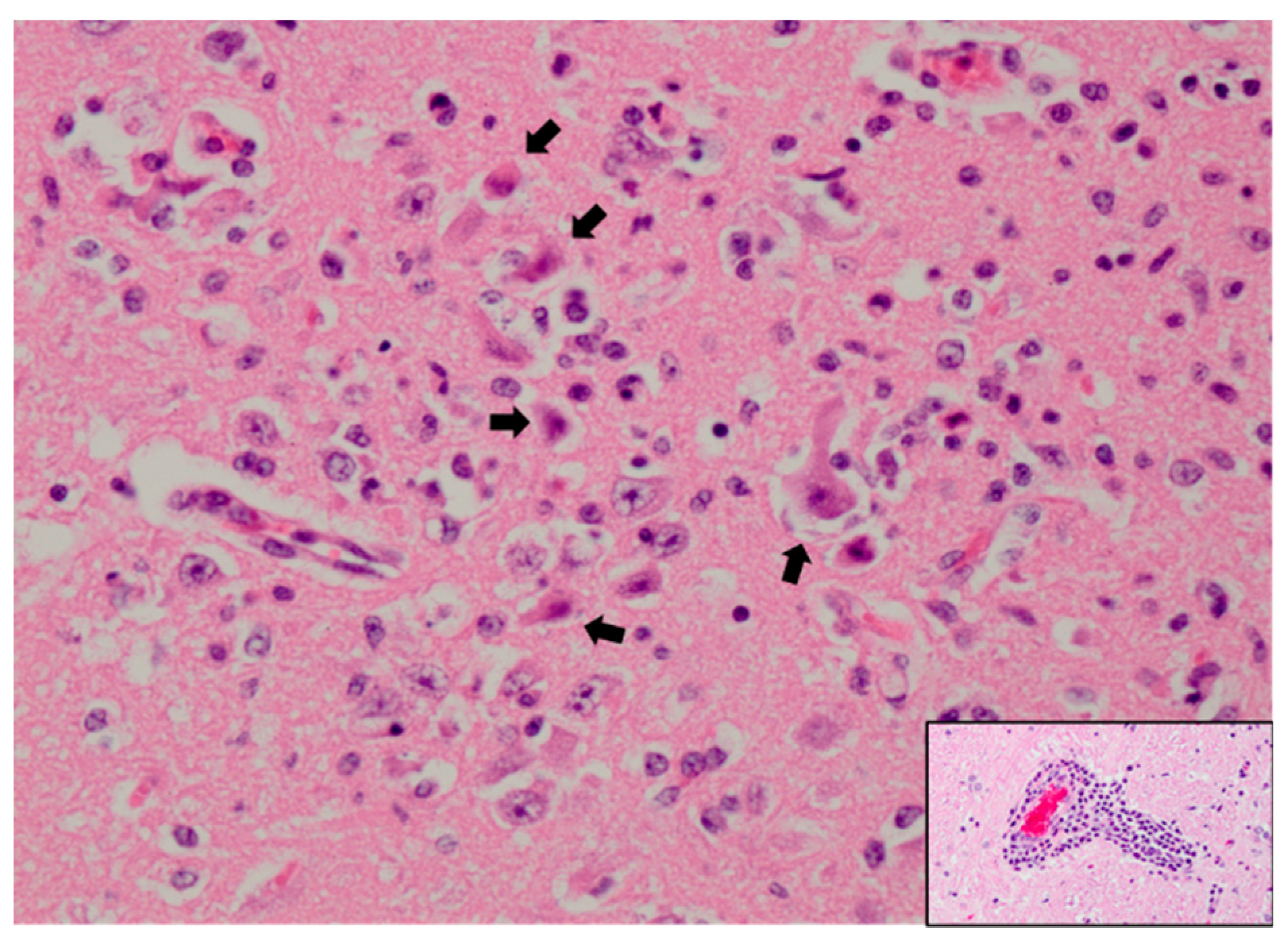 Pathogens 09 00048 g002