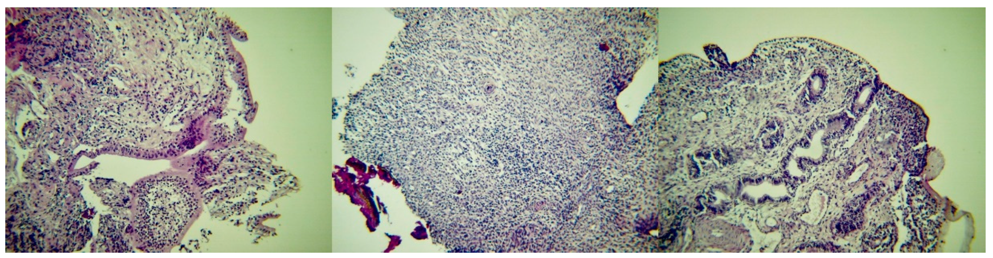 Pathogens 09 00054 g008