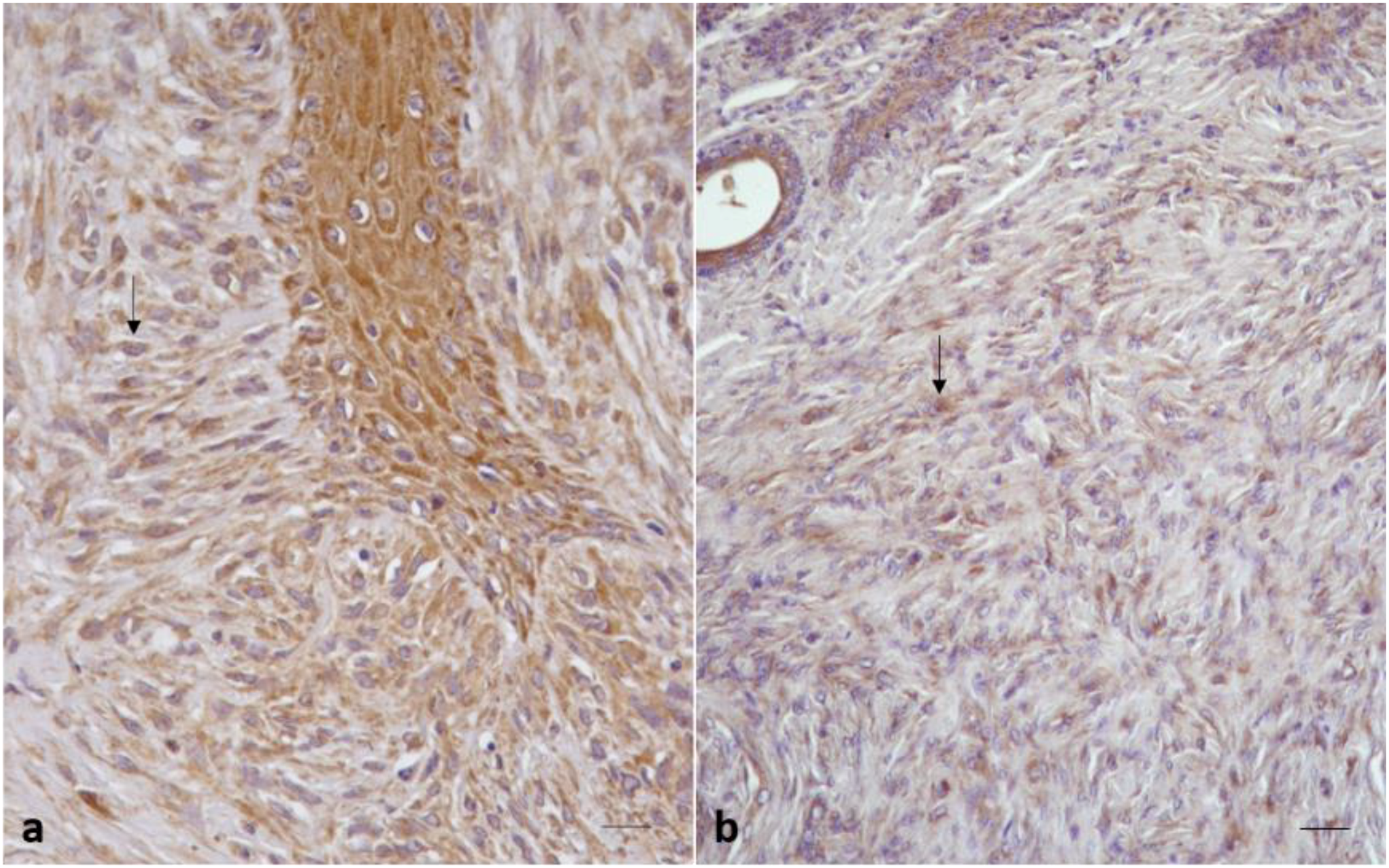 Pathogens 09 00058 g002 Pathogens 09 00058 g002
